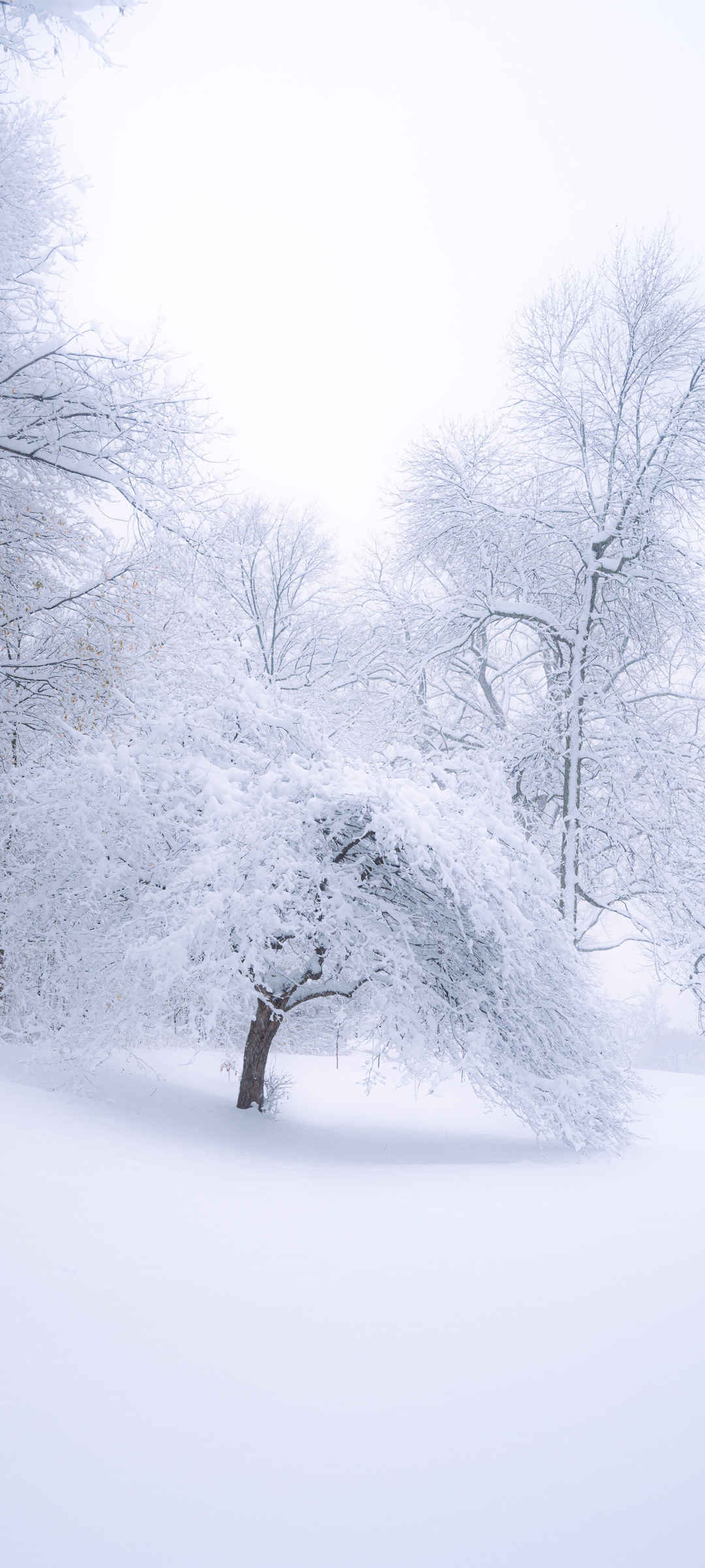 冬天雪景ios风景壁纸-