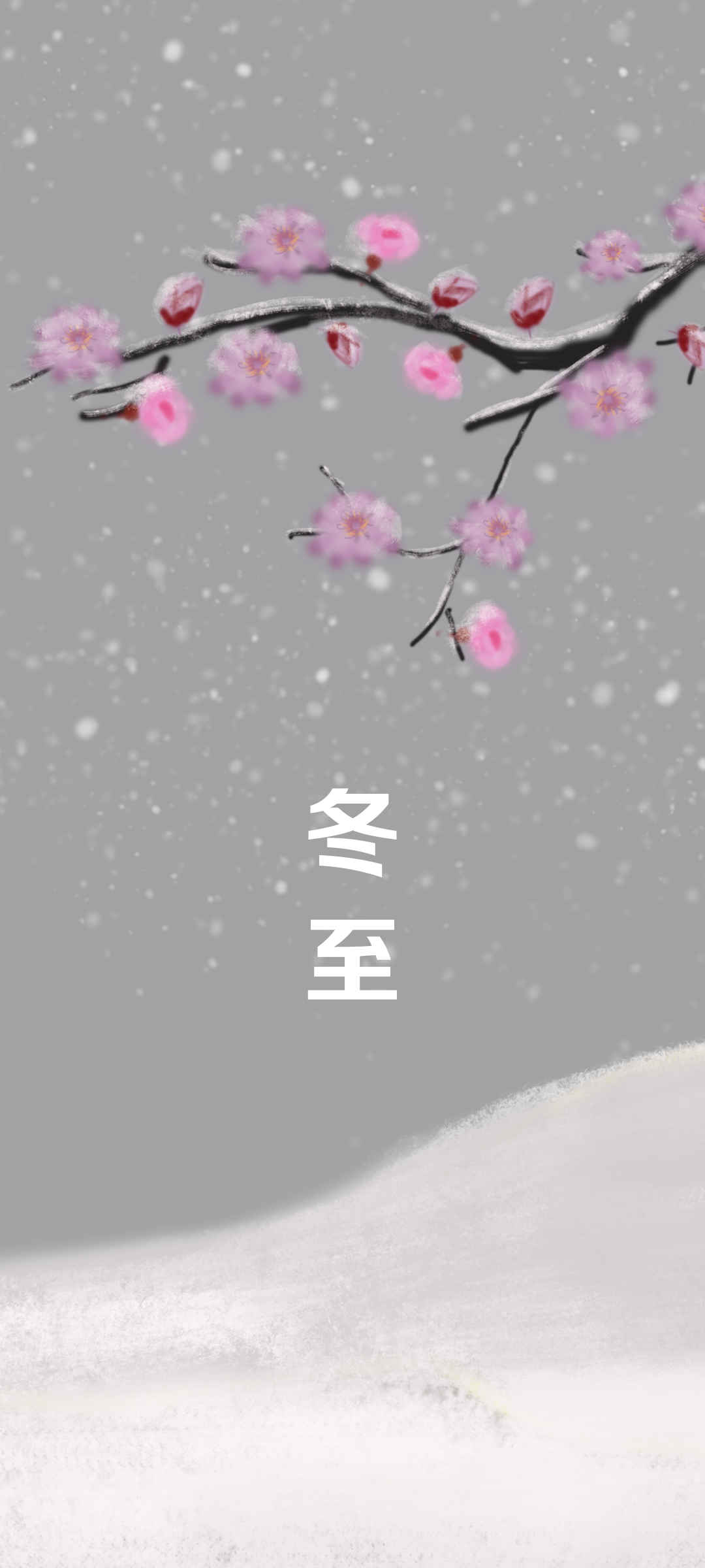 冬至 梅花 大雪纷飞的壁纸-