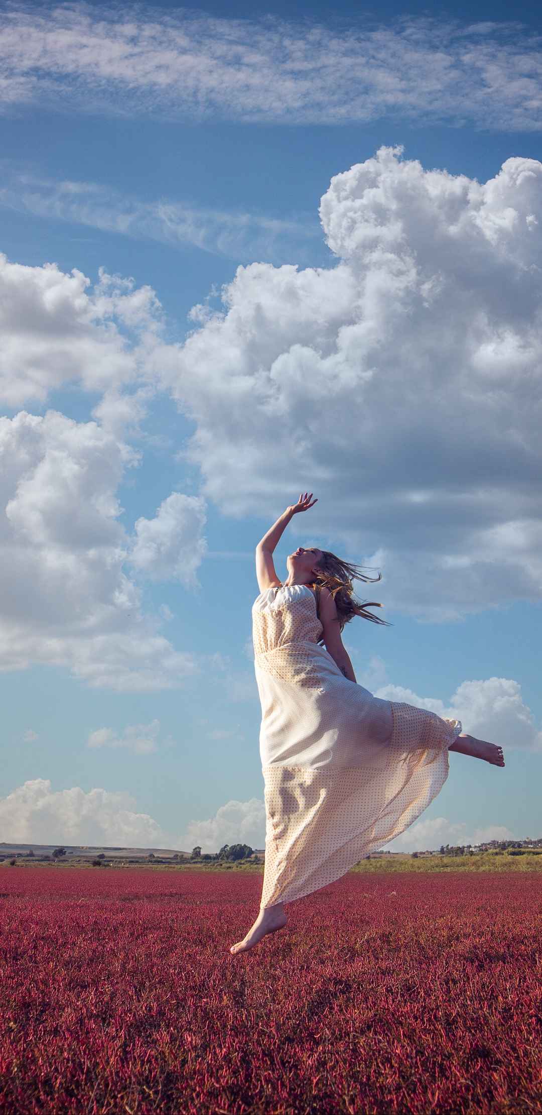 花海美女跳舞背影图片大全高清