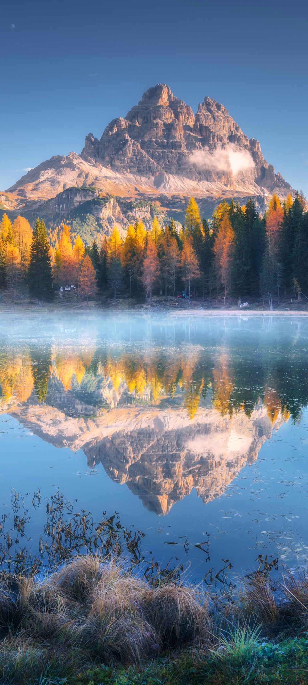 秋天 高山 湖水 倒影 树林 草 自然风景 手机壁纸