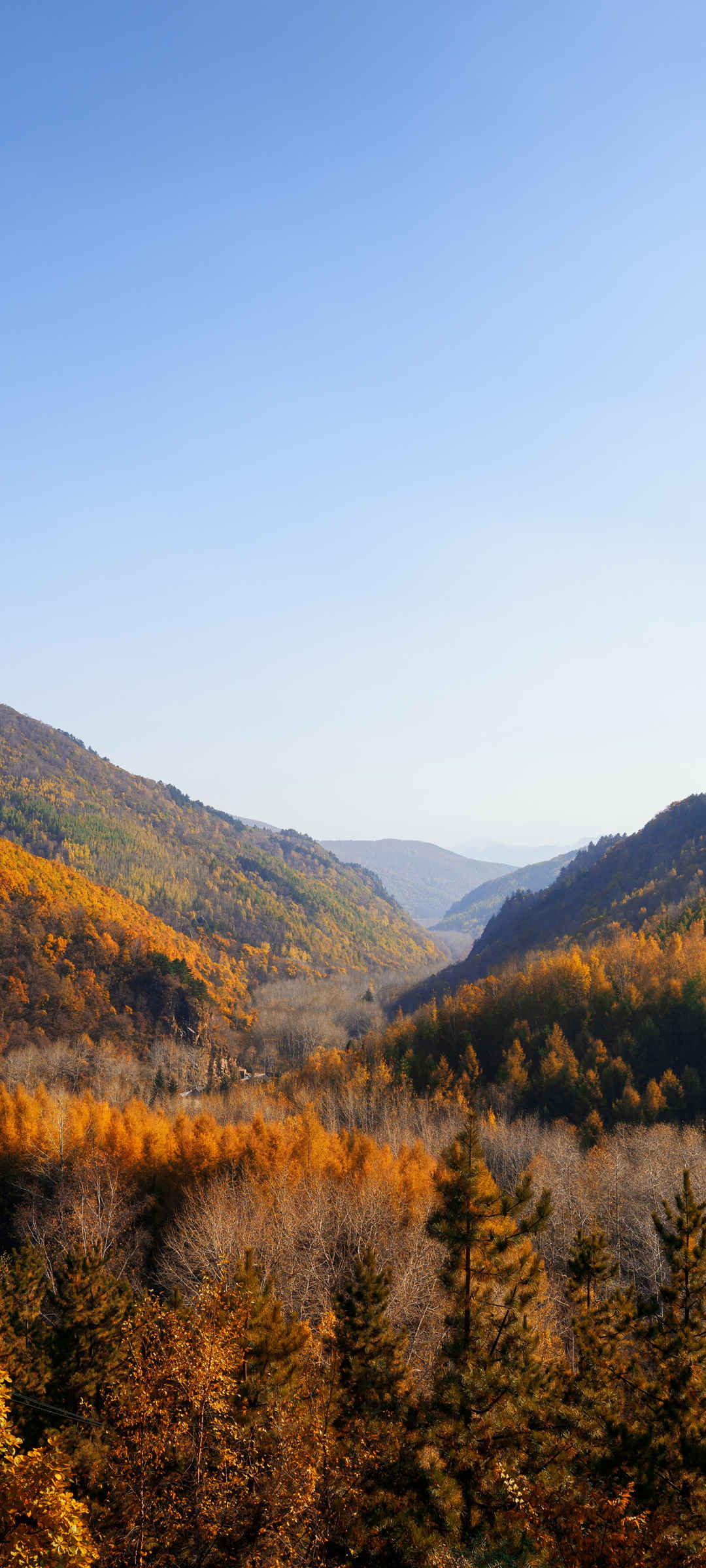 大山的秋天风景手机图片-