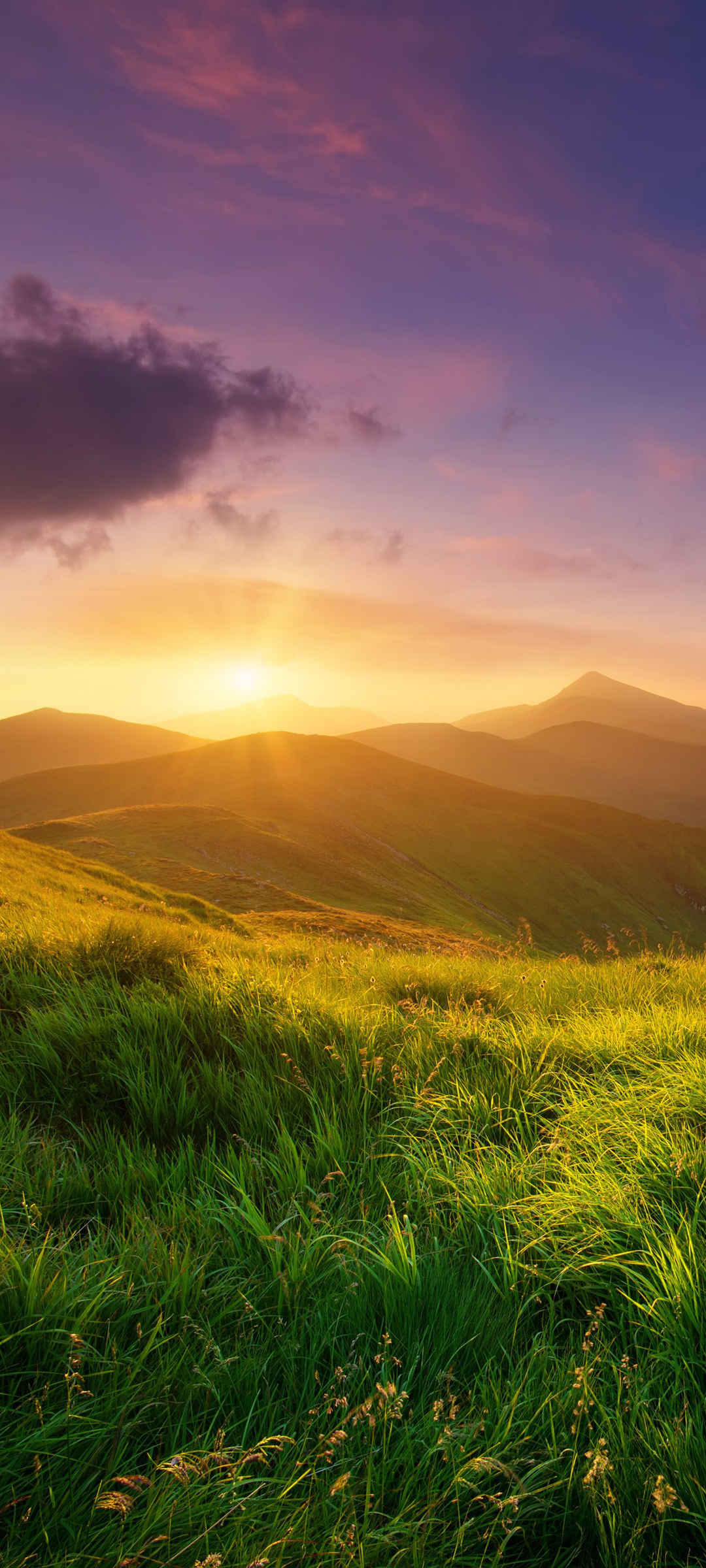 山顶 日出 风景 高清手机图片