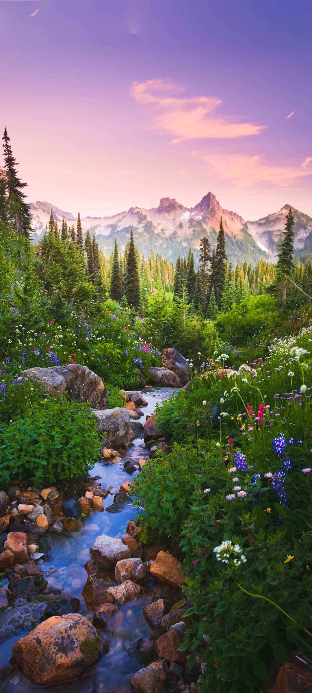 美丽风景 小溪流水 高山 树林 鲜花高清风景图片-