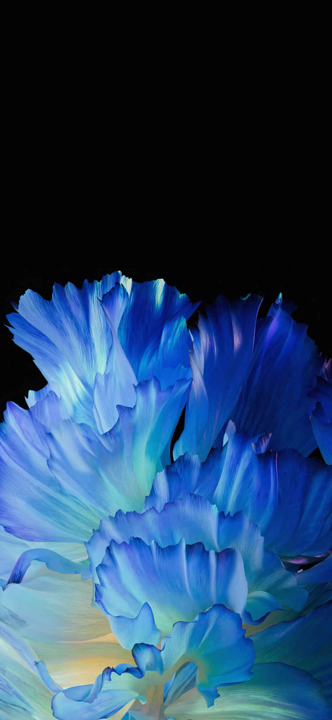 蓝色花瓣 Vivo X 内置高清手机壁纸-