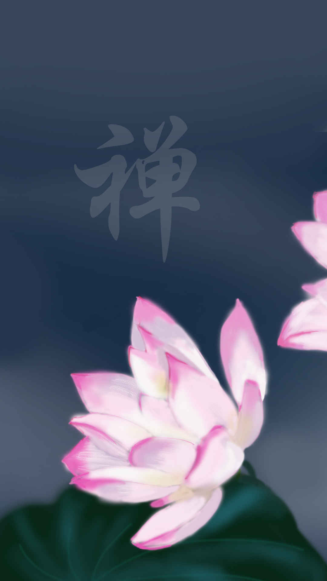 黑色黑景4k荷花