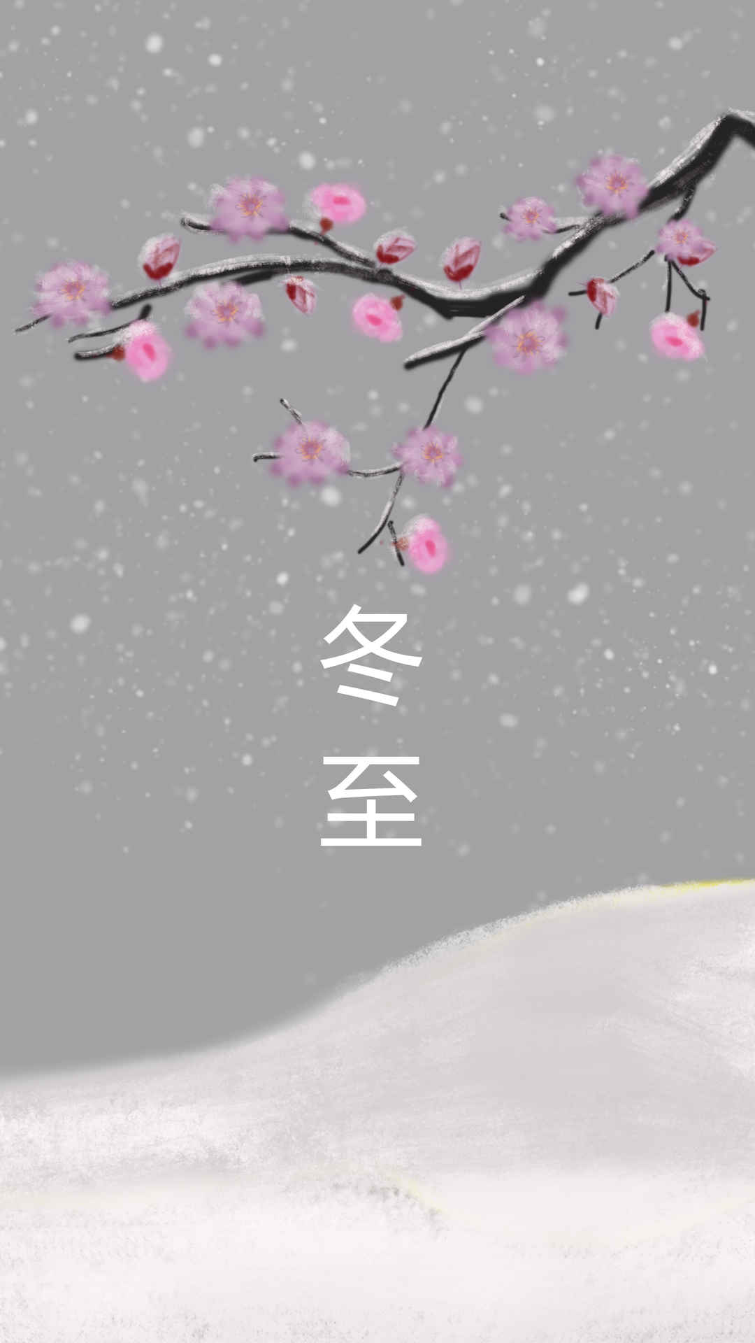 冬至 梅花 4k手机壁纸