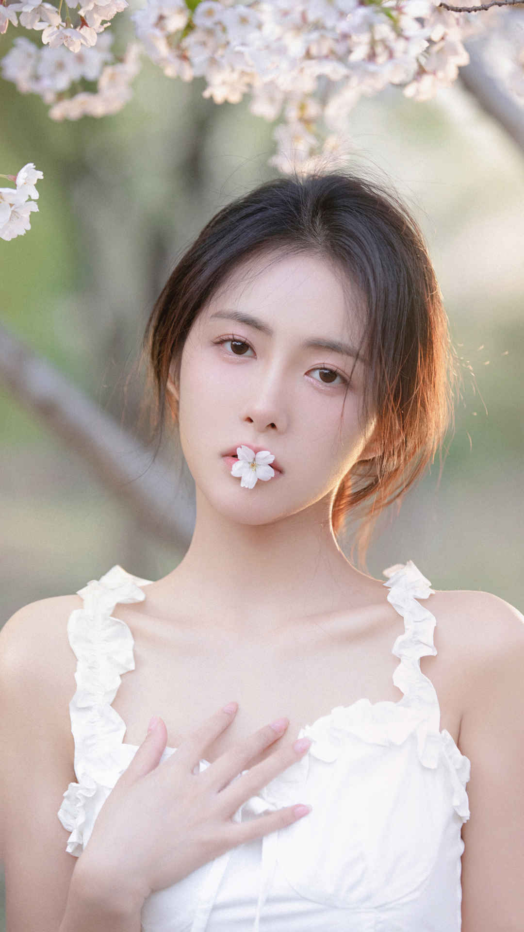 林晚儿樱花 美女 4k手机壁纸-