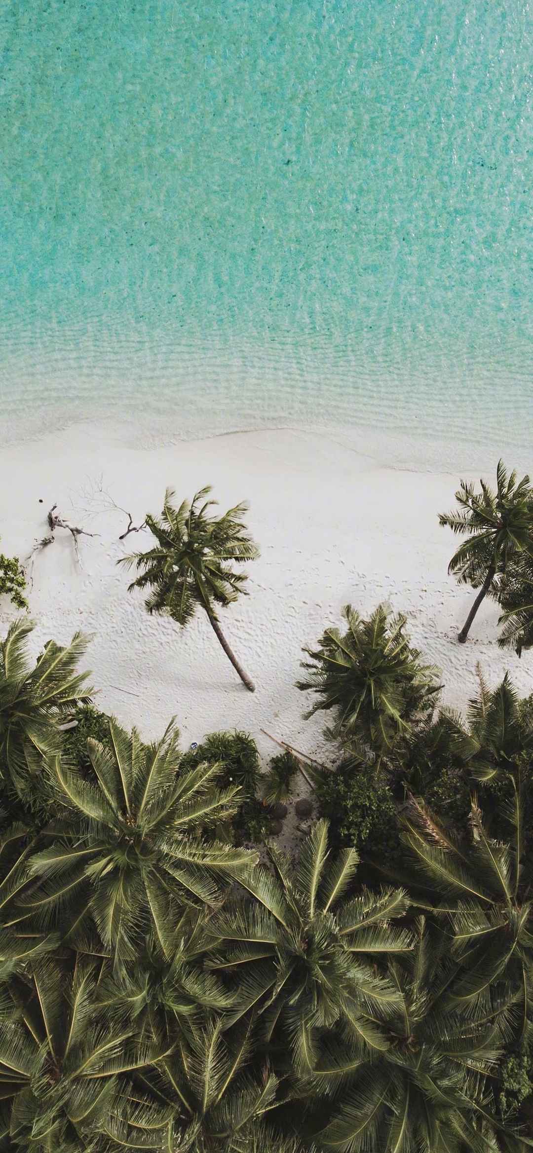 大海沙滩自然风景手机壁纸