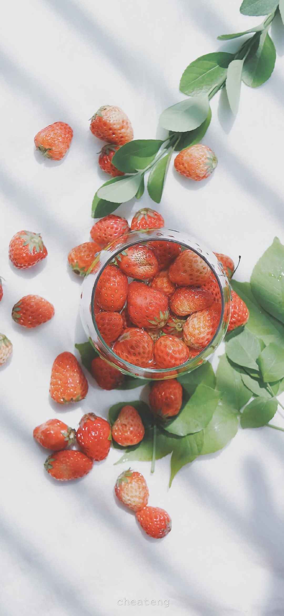 夏日必备水果草莓素材