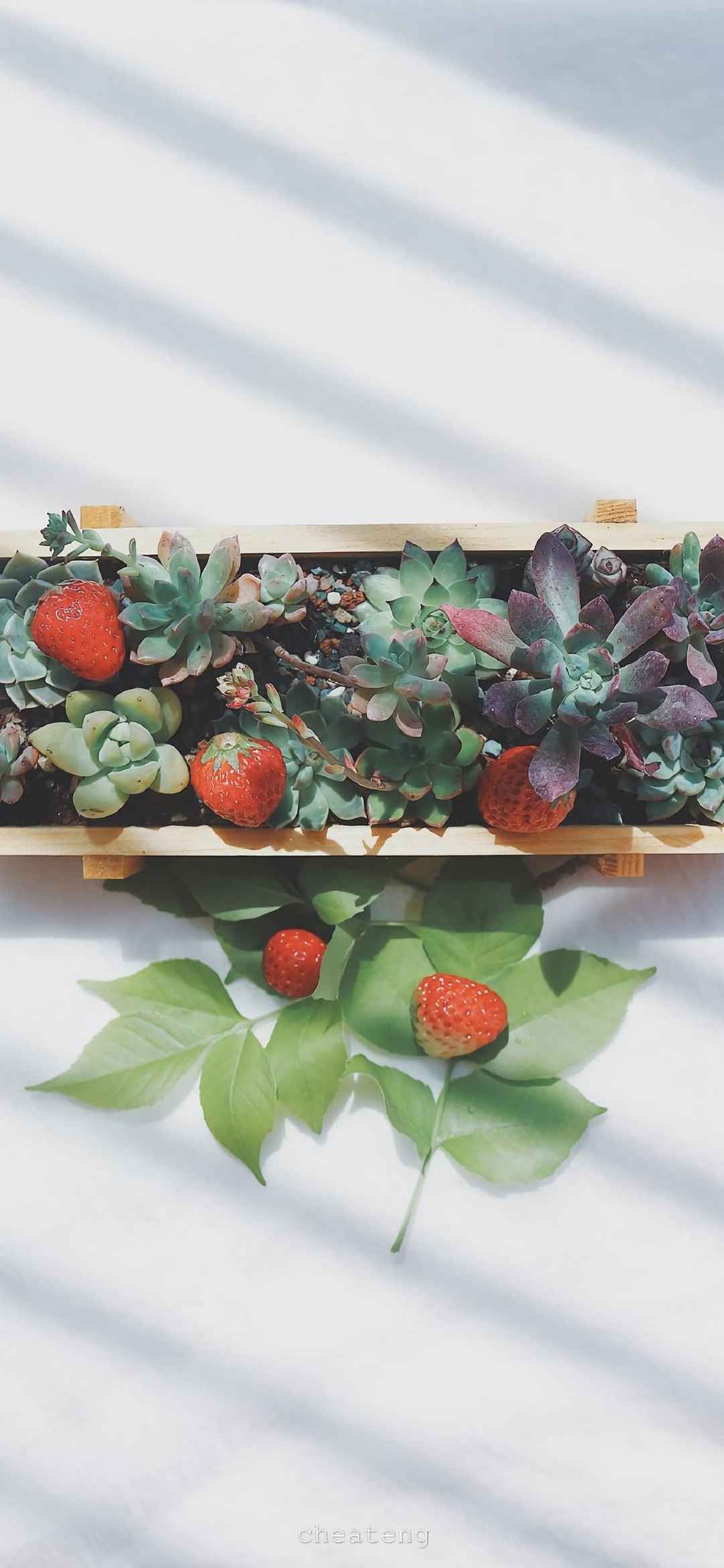 夏日必备水果草莓手机壁纸-