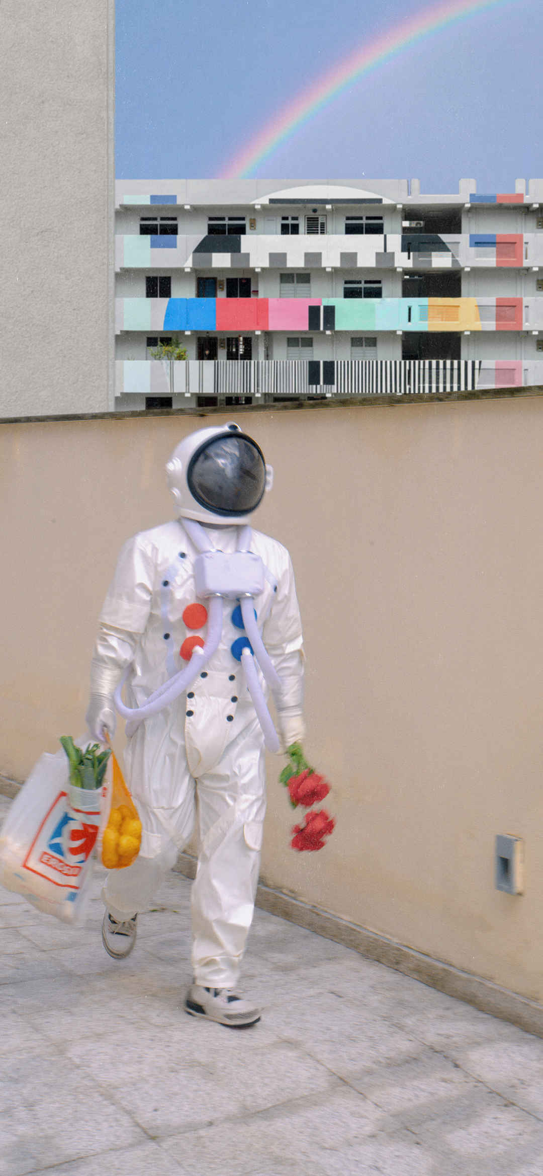 宇航员领着菜和玫瑰手机壁纸