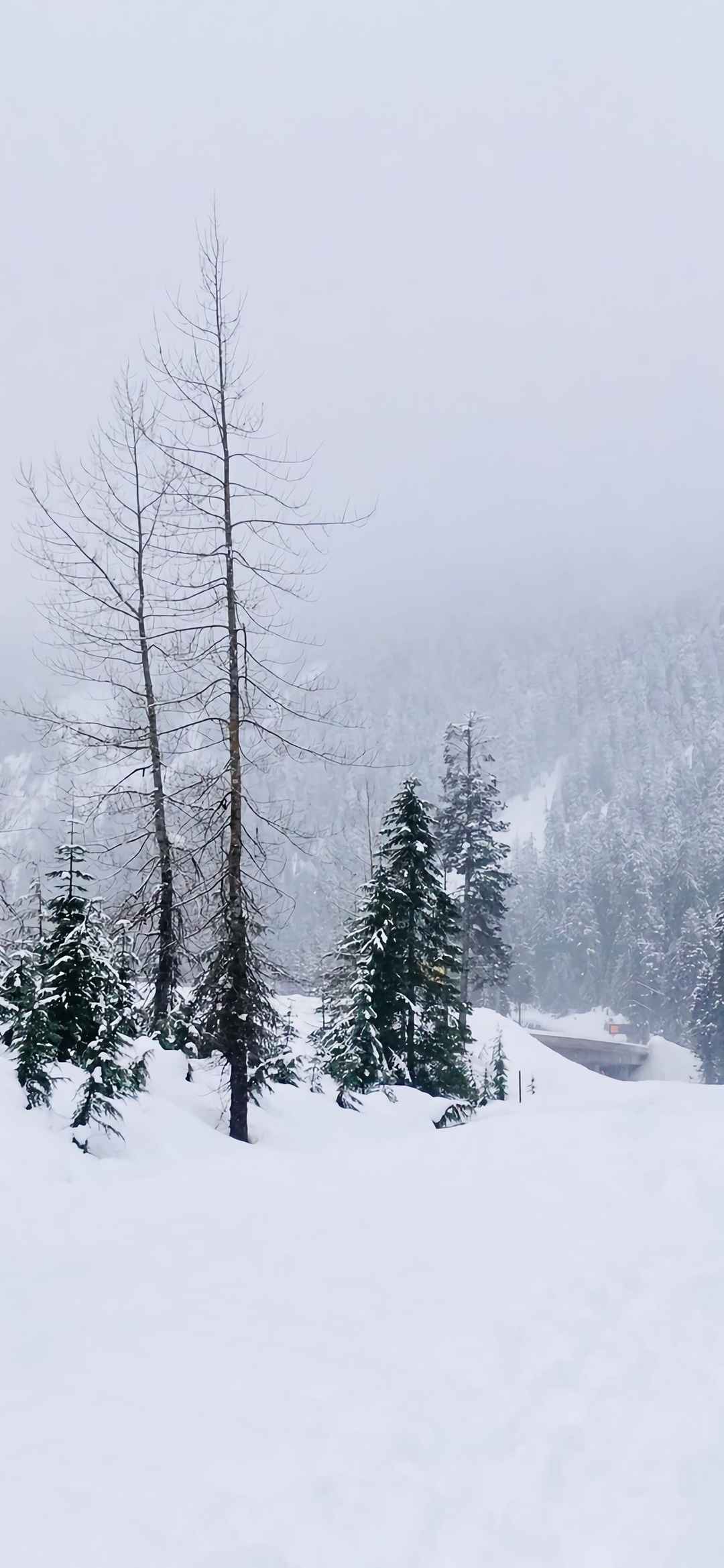 大雪美景独一无二唯美的图片-