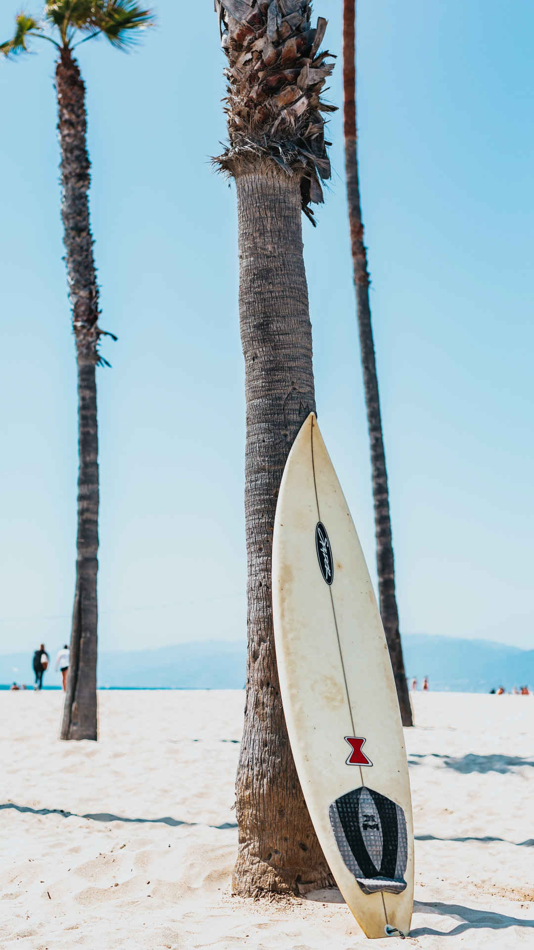 椰树沙滩，靠着椰树上的冲浪板高清手机壁纸