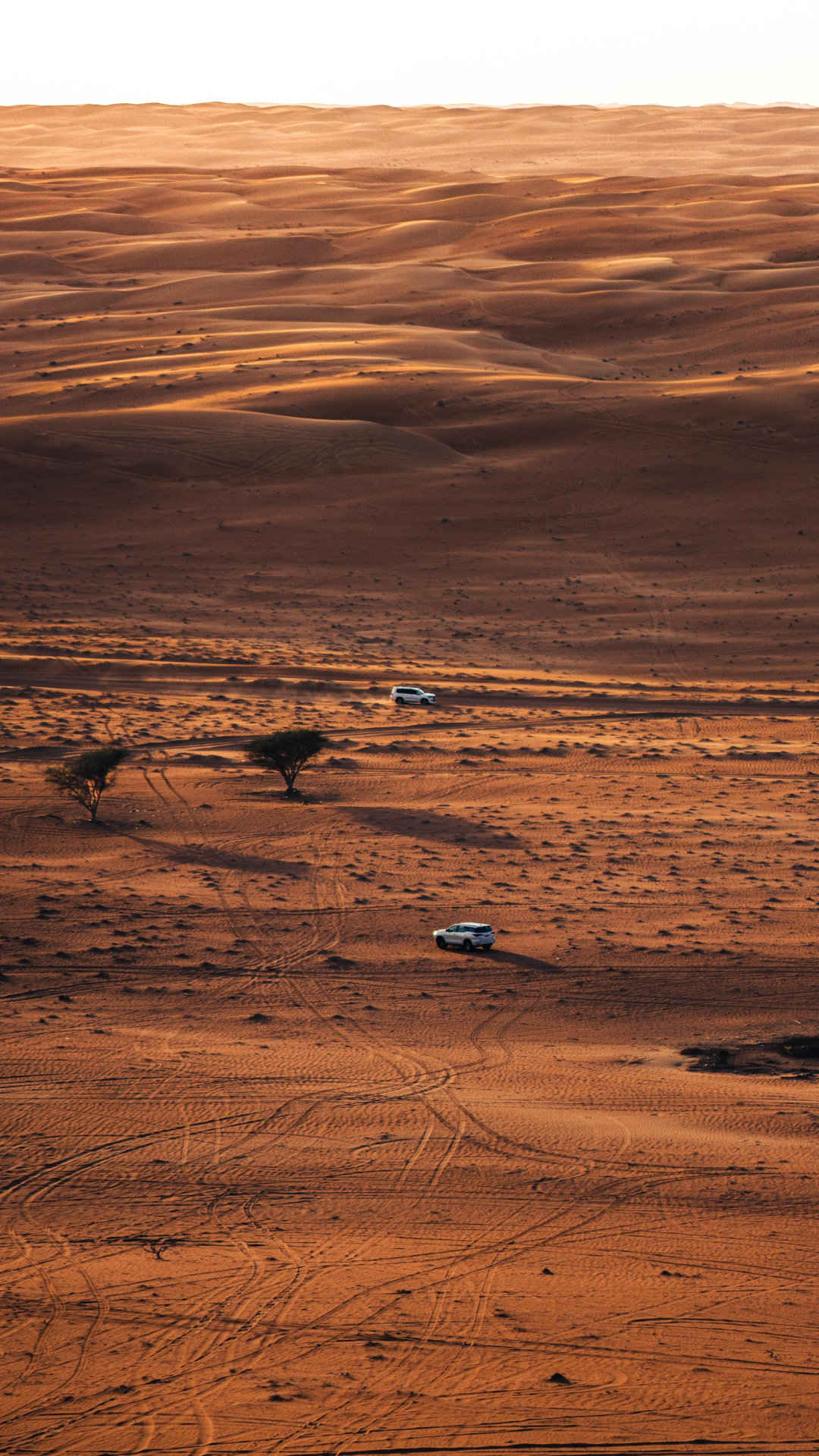 行驶在荒漠的几辆SUV，一望无际的荒漠风景