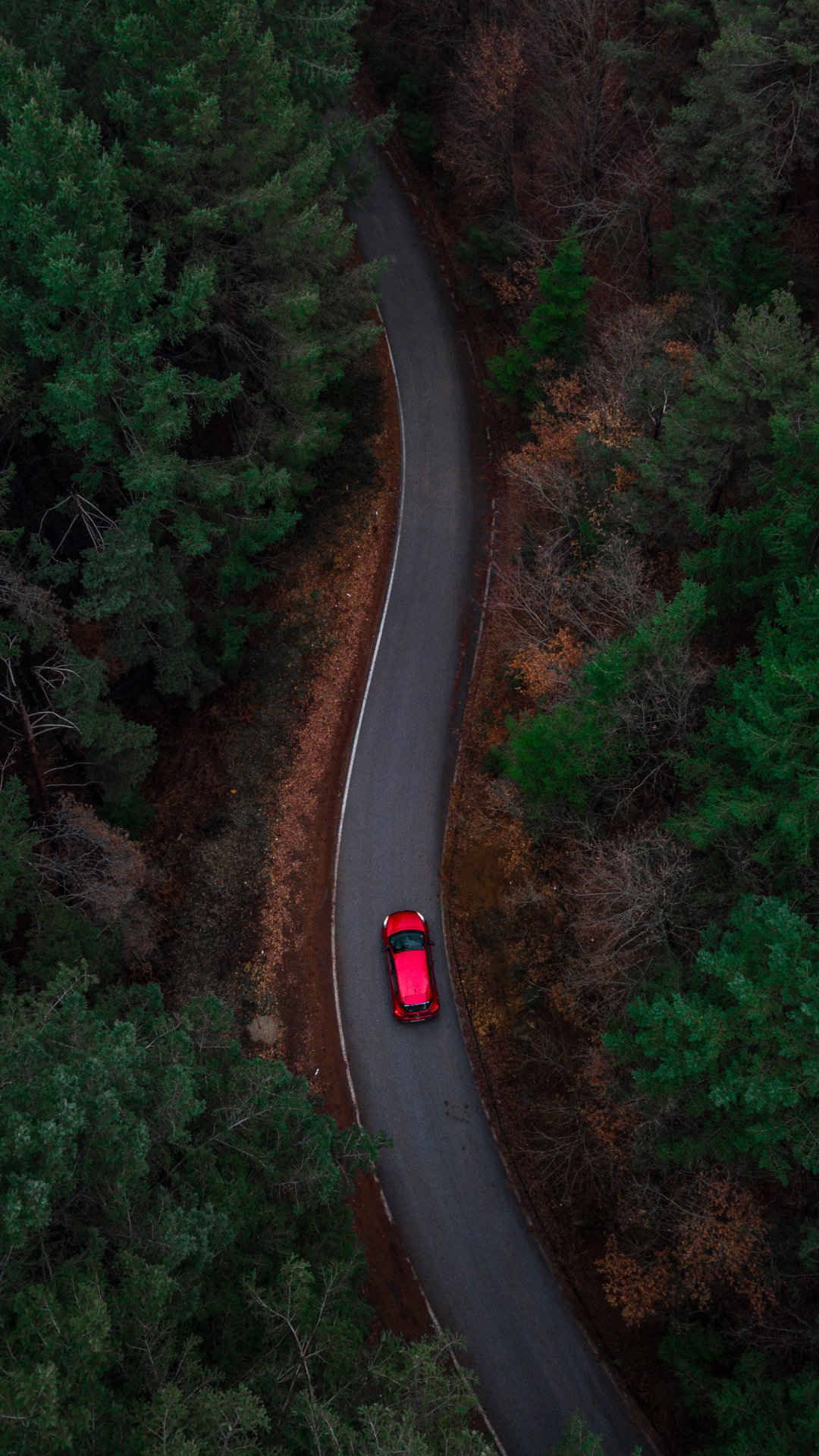 行驶于树林弯曲公路上的红色轿车超火背景图-