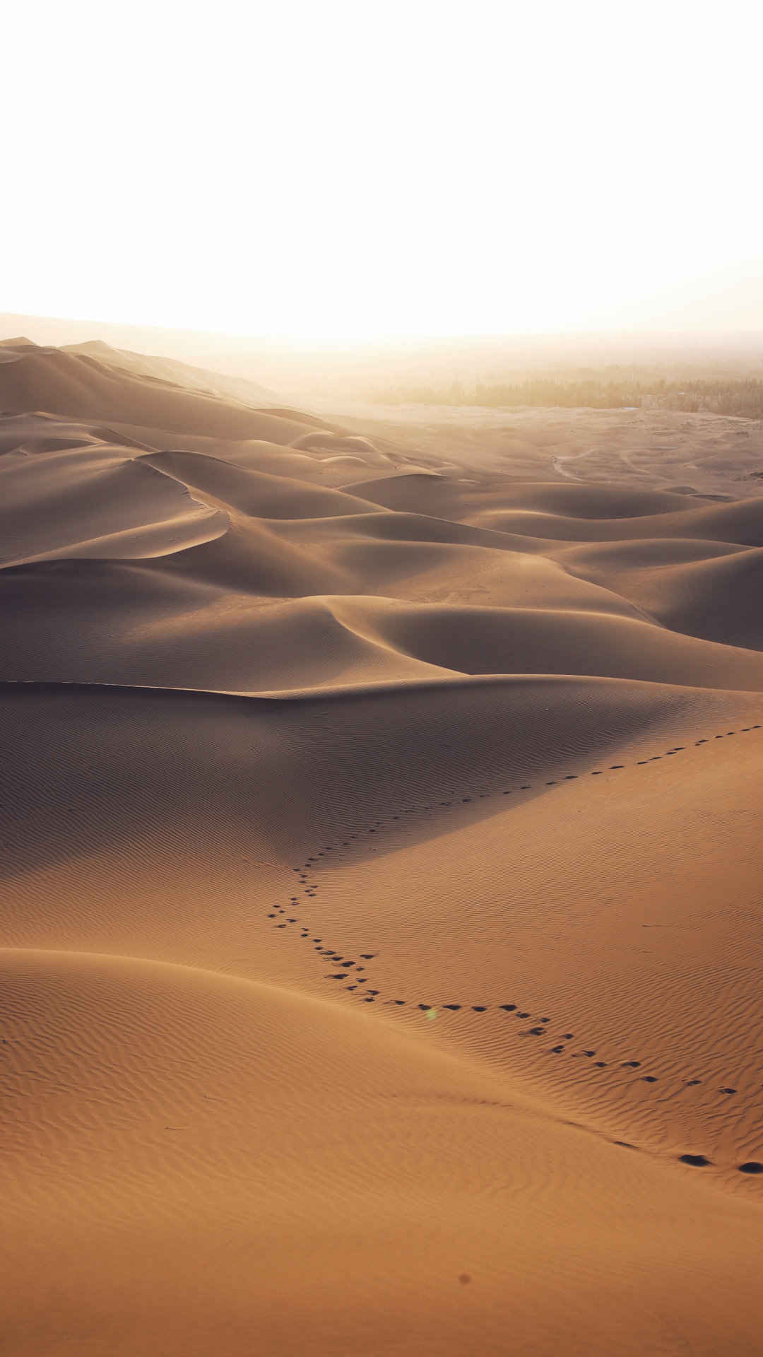 一望无际的沙漠上依稀的一排脚印高清手机壁纸-