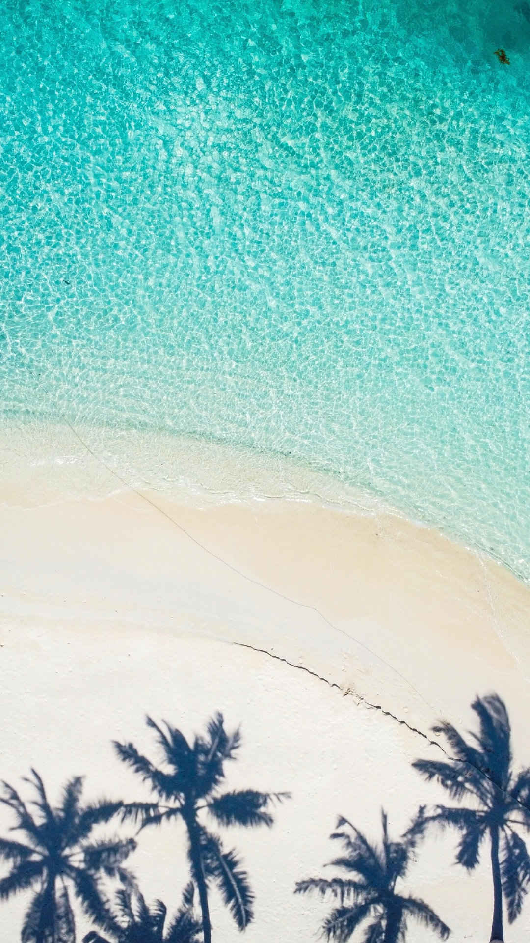 椰树倒影着沙滩世界最美海边风景图片-