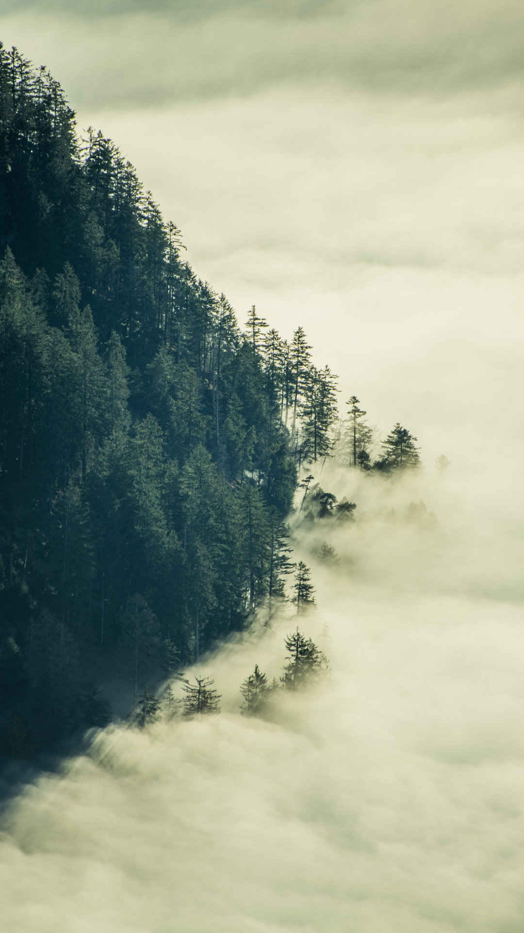 美丽的大自然云海山脉风景高清手机壁纸-