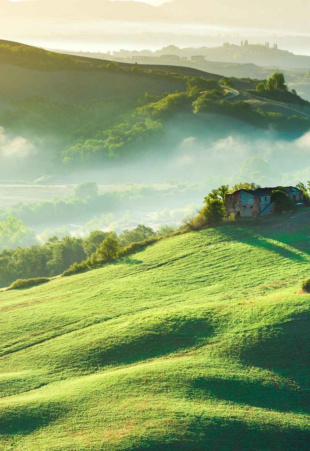 意大利 托斯卡纳 山脉 绿色草原手机壁纸-
