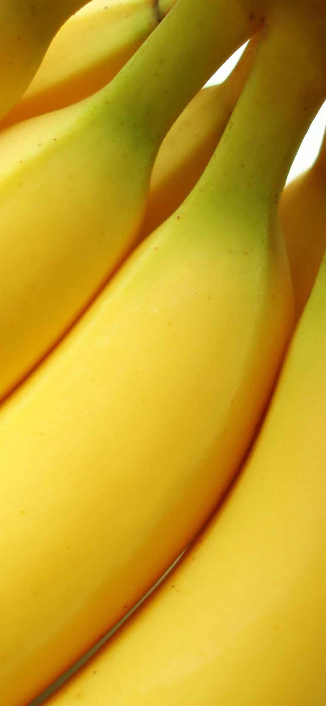 诱人香蕉手机壁纸-