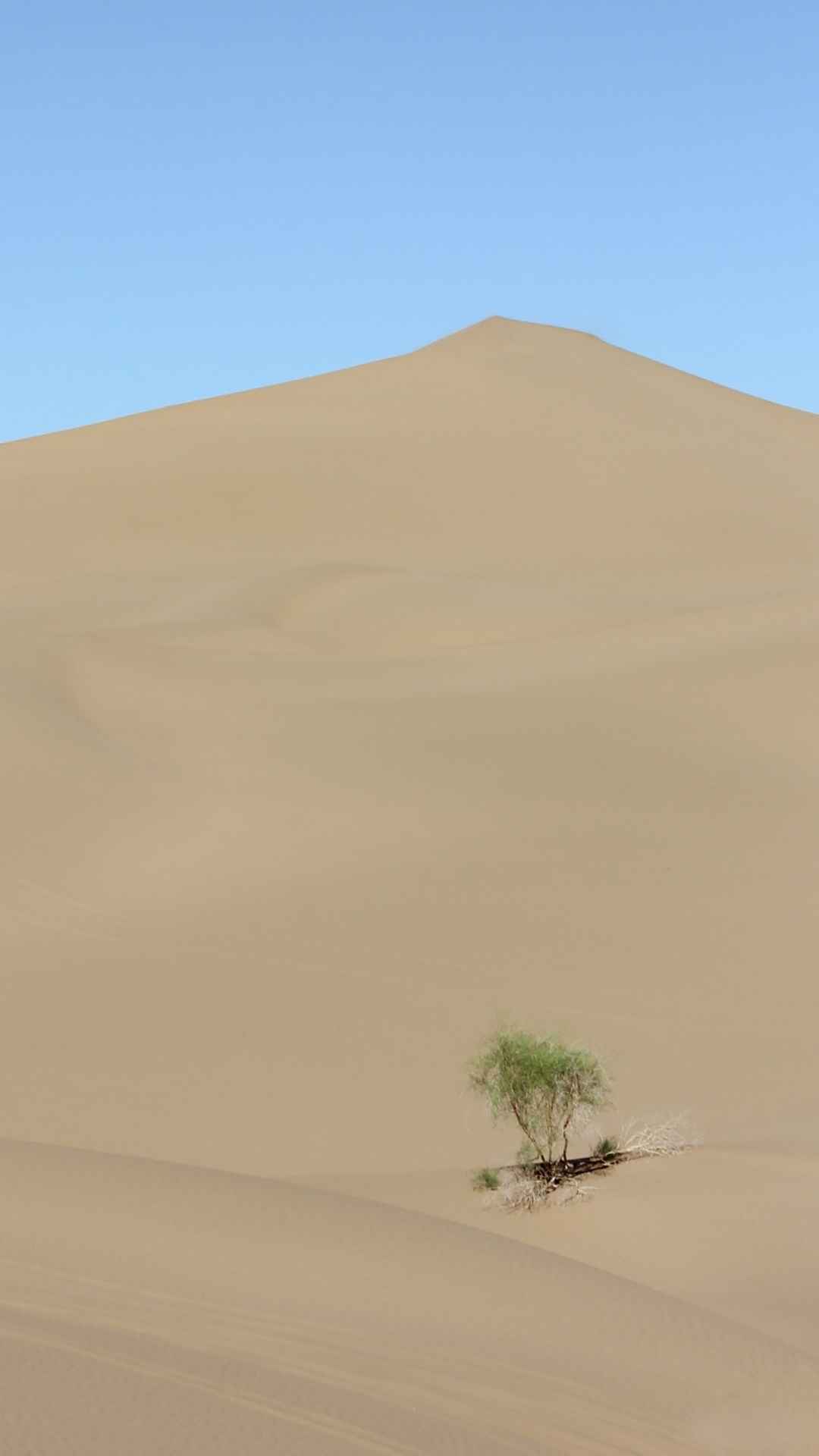 一望无际的沙漠风光手机壁纸