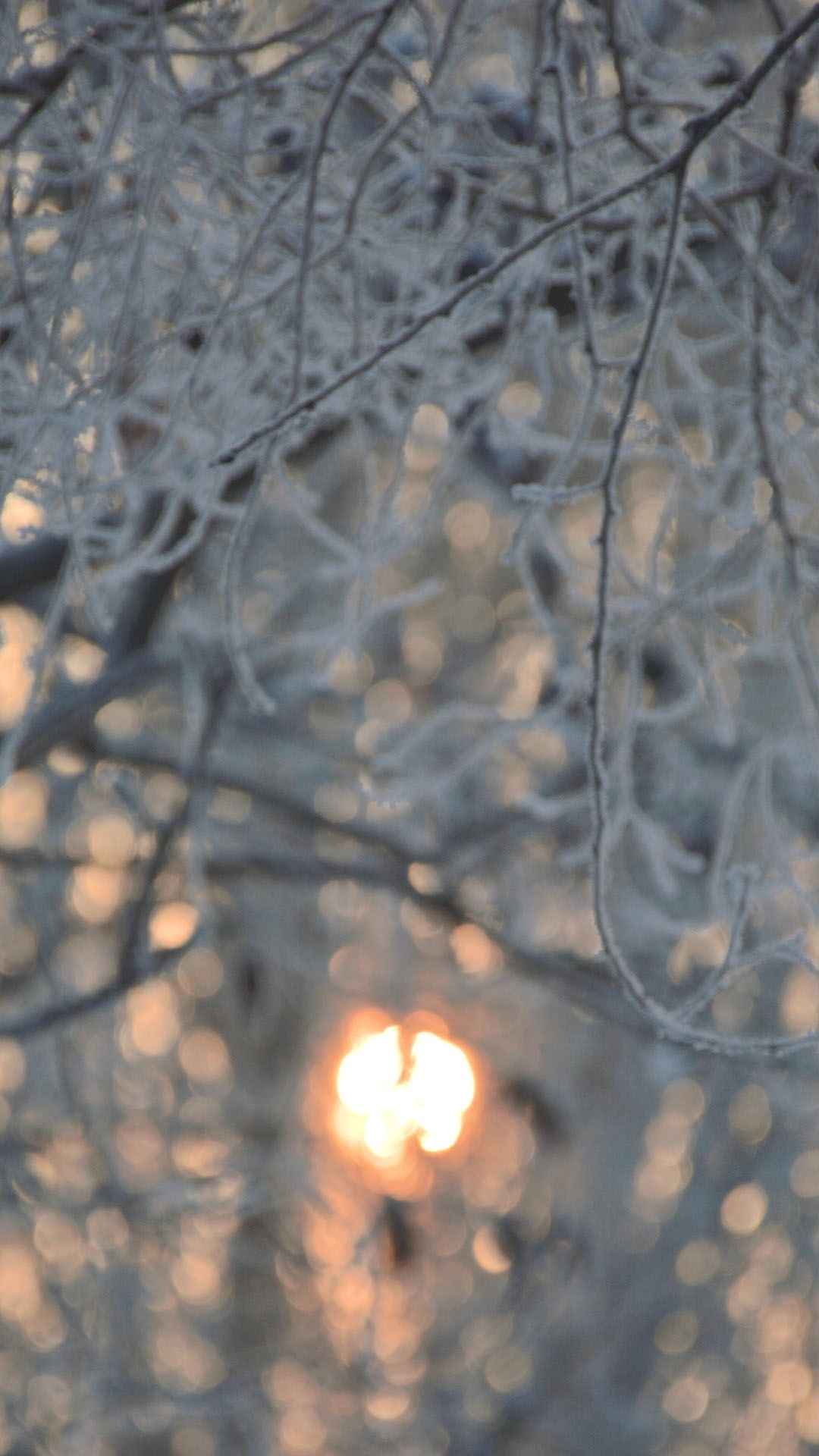 雪后优美迷人景色手机壁纸