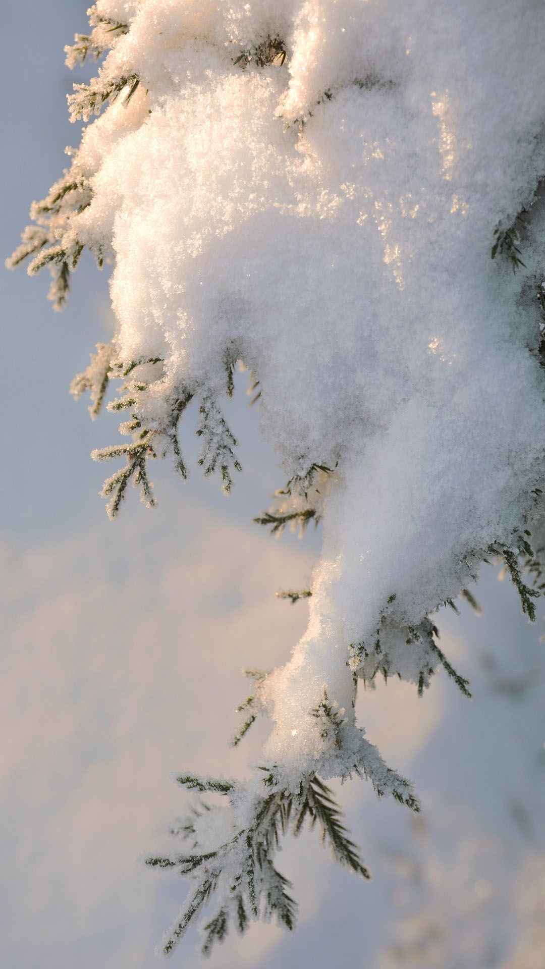 雪后优美迷人景色手机壁纸