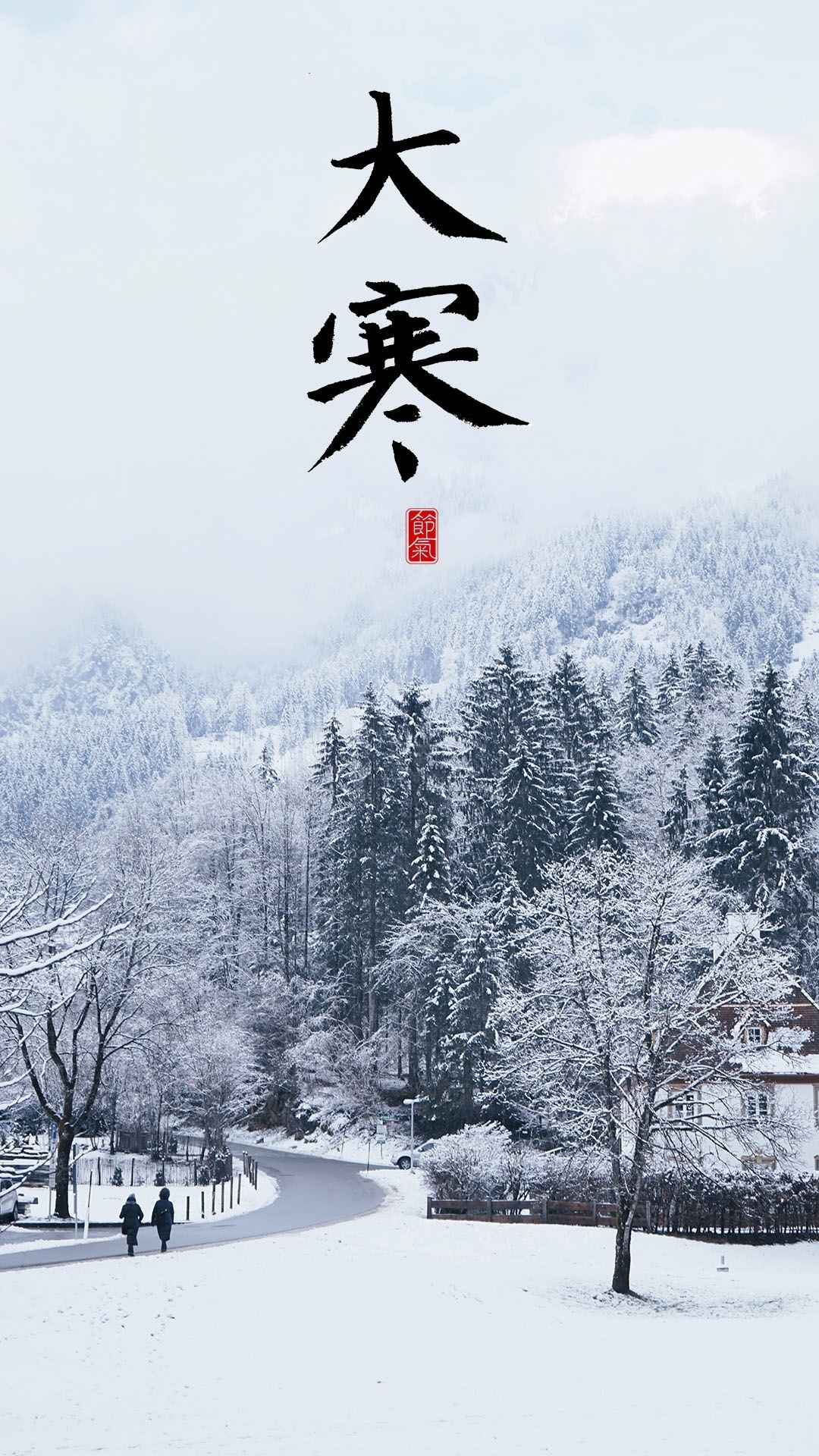 传统节气大寒迷人雪景
