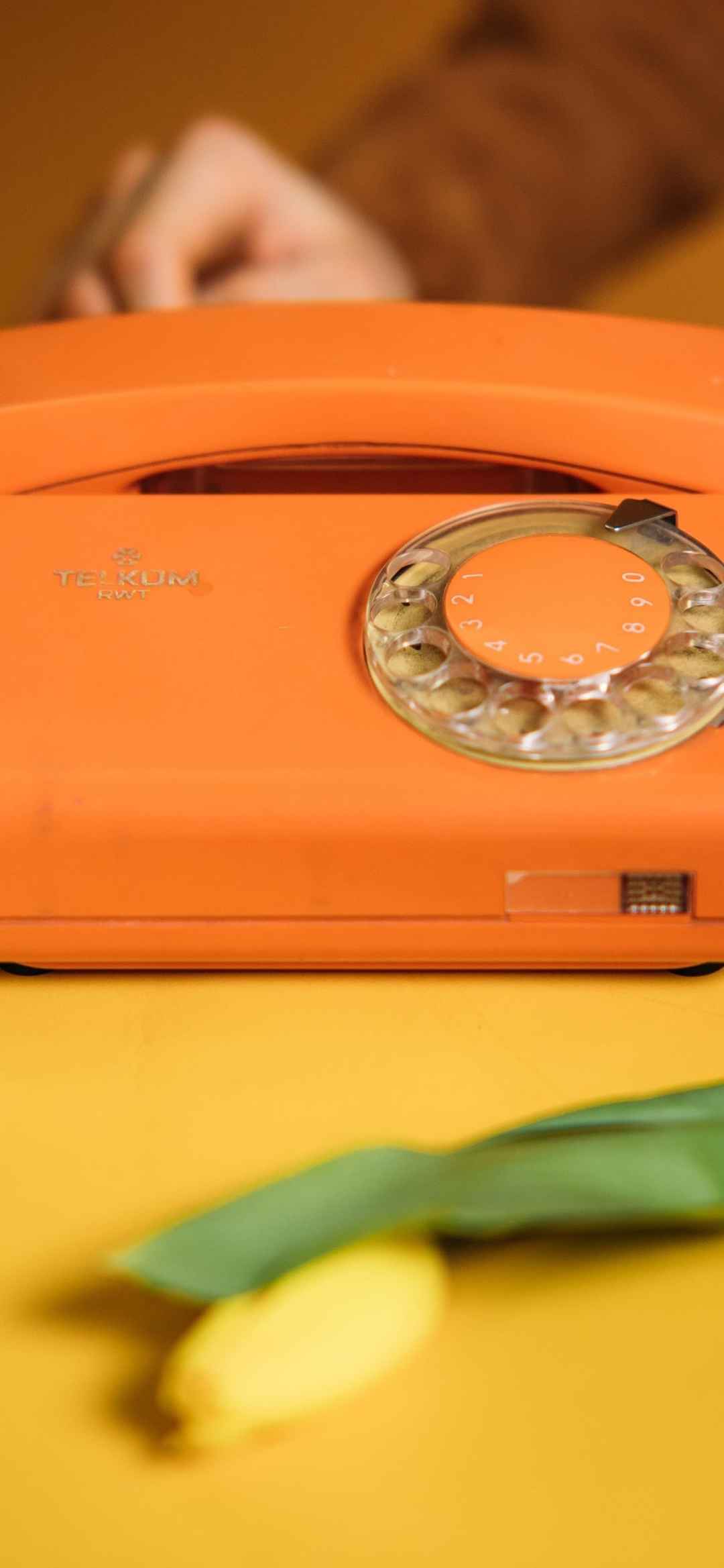 橙色色系摄影图片手机壁纸