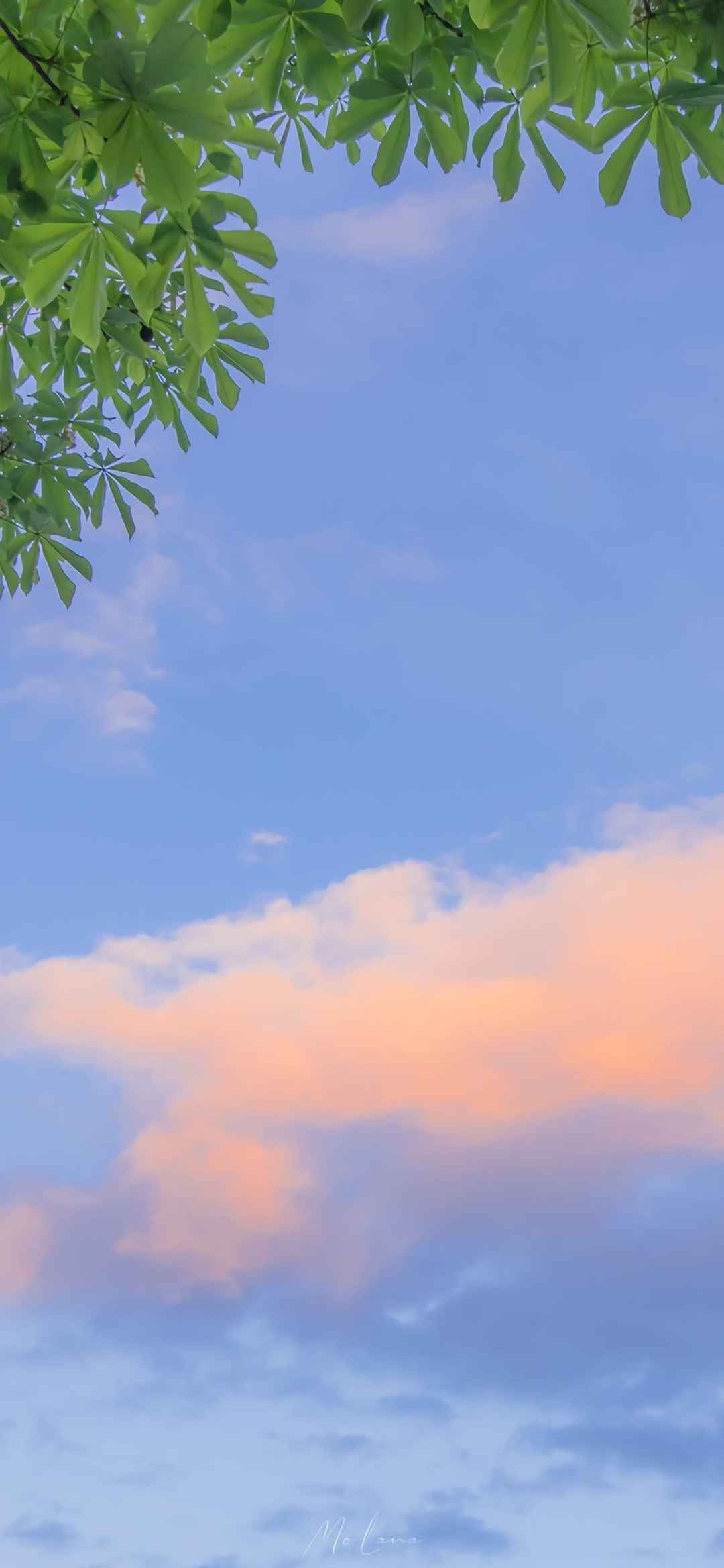 蓝色天空风景图片手机壁纸-