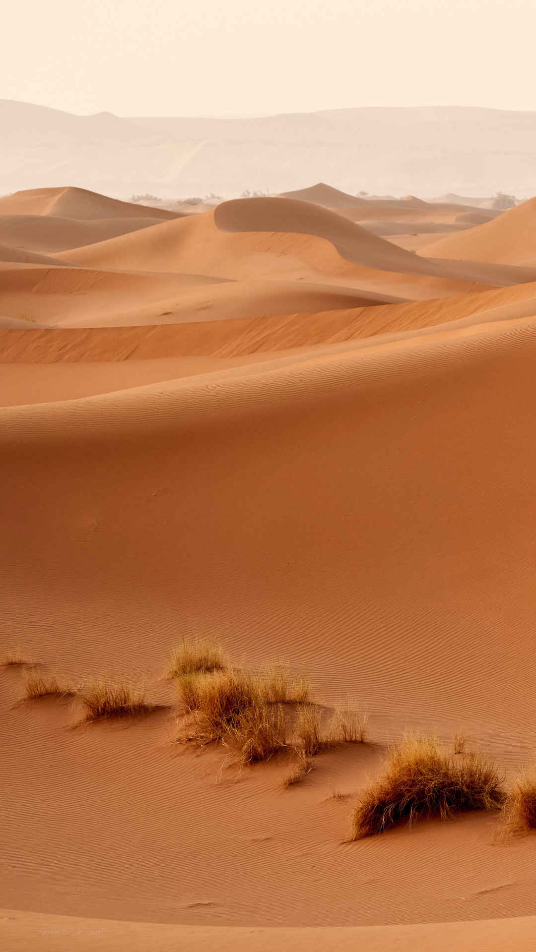 烈日沙漠手机壁纸-