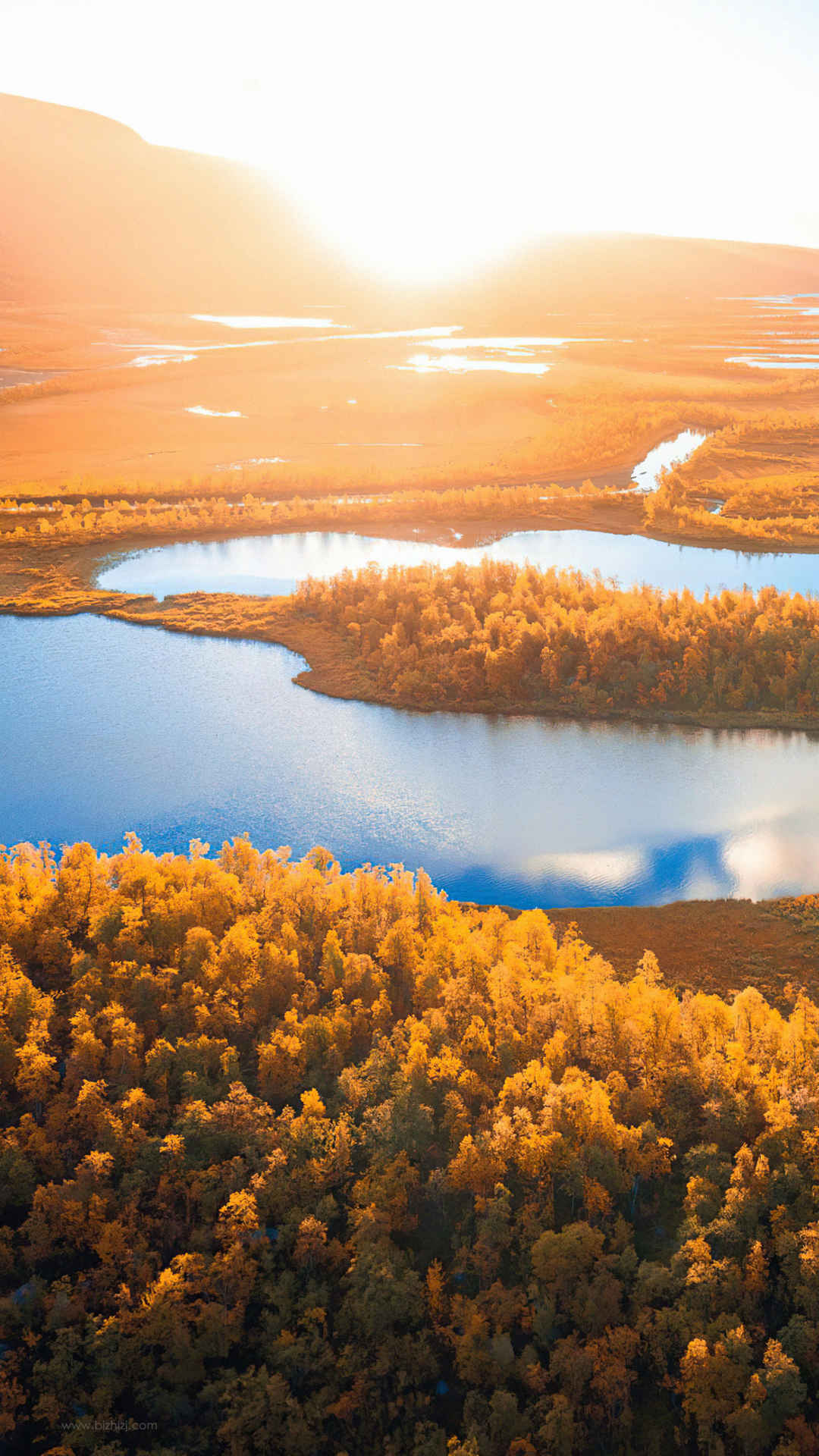 瑞典 拉普兰 日出 河流 森林手机壁纸-