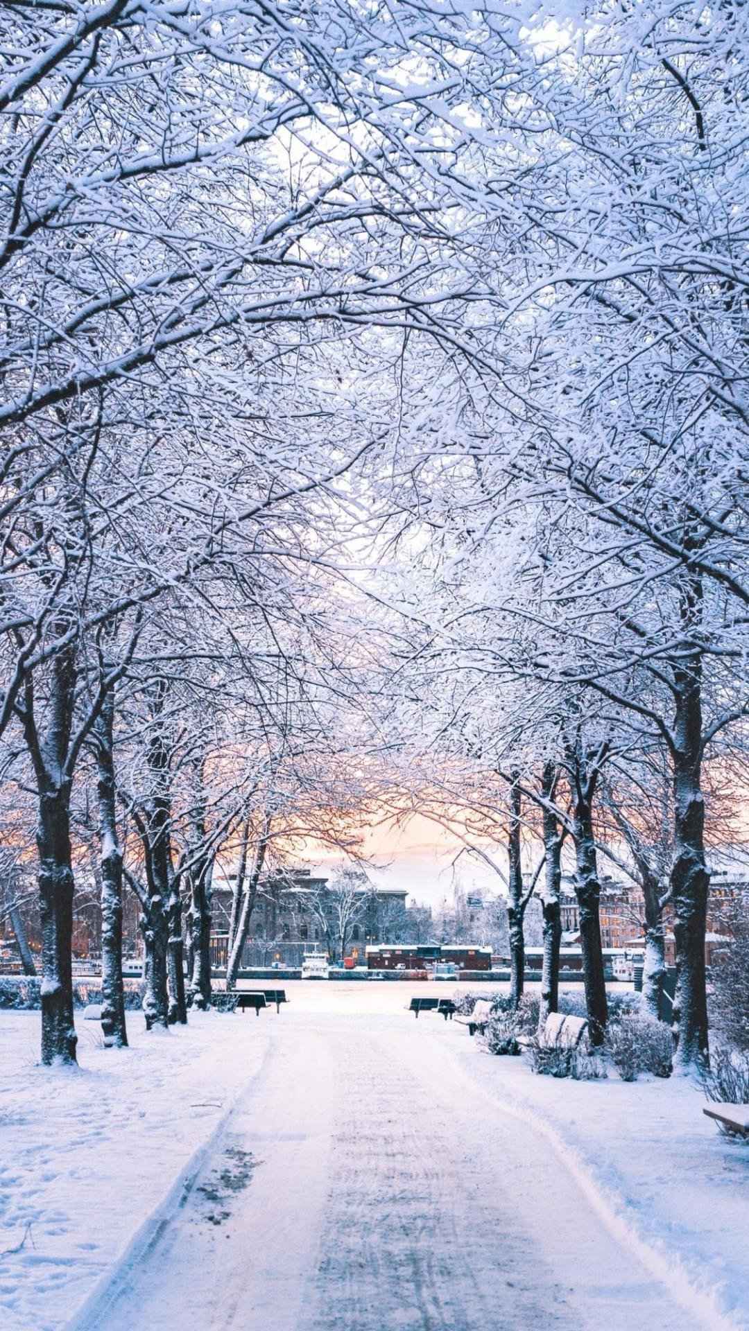 唯美迷人的冬天雪景风光手机壁纸-