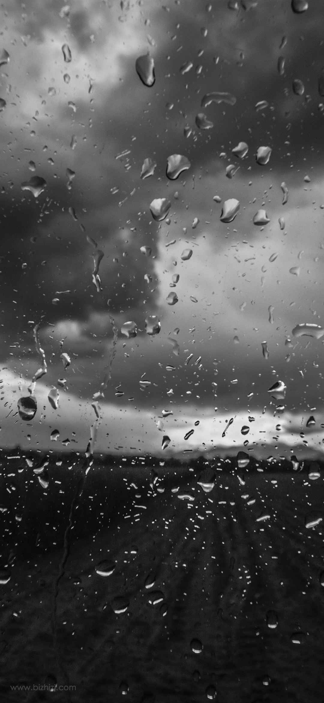 雨滴风景摄影手机壁纸