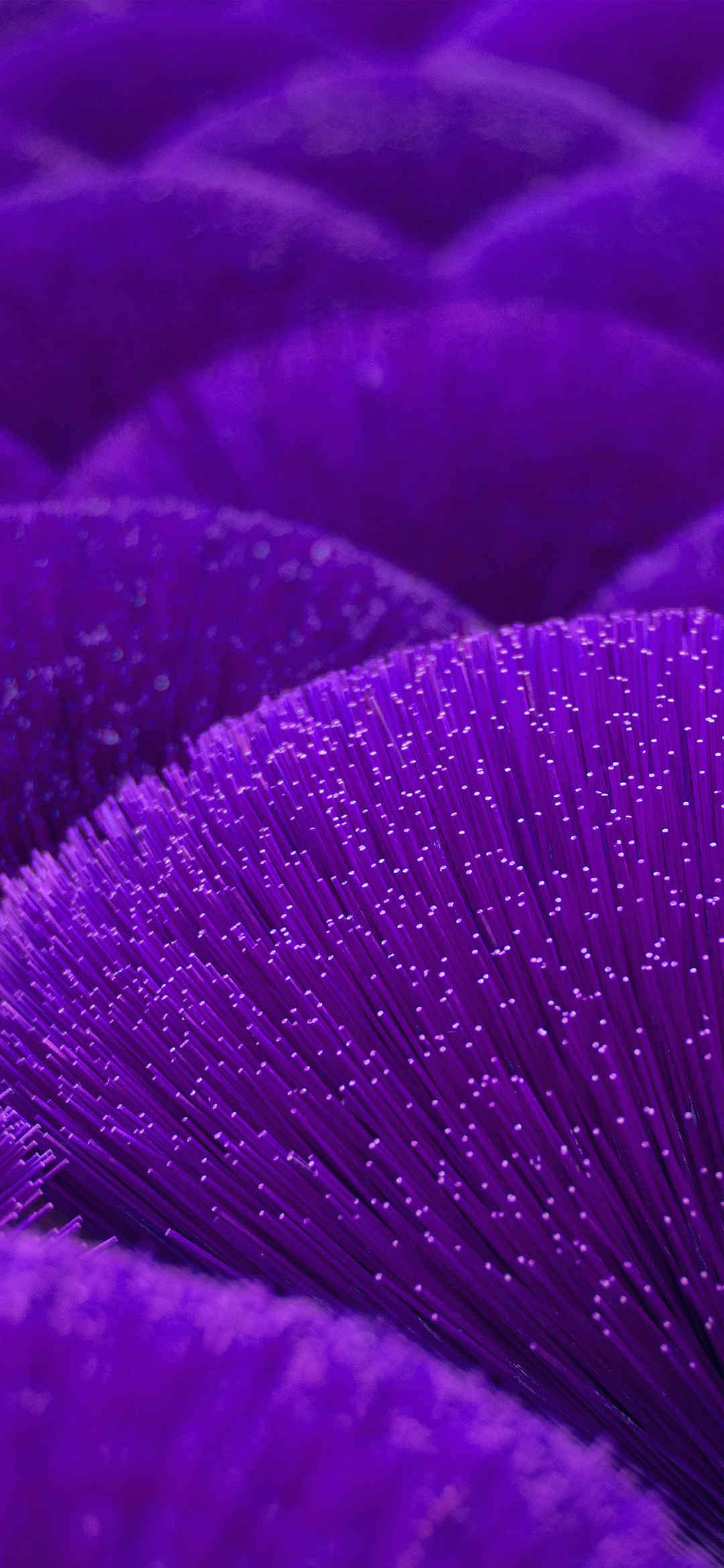 紫色的塑料花棒的创意手机壁纸-