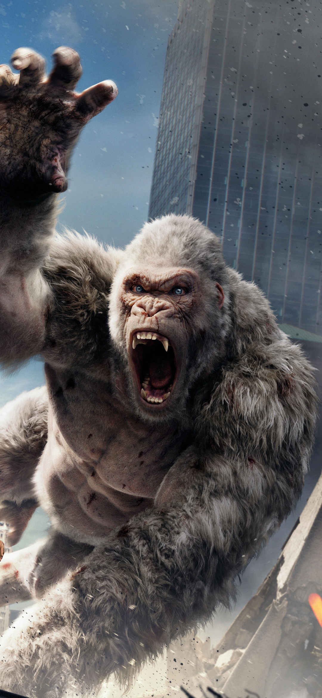 电影狂暴巨兽的大猩猩手机壁纸