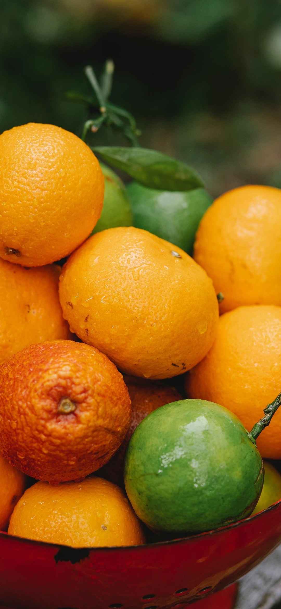 新鲜水果橙子手机壁纸