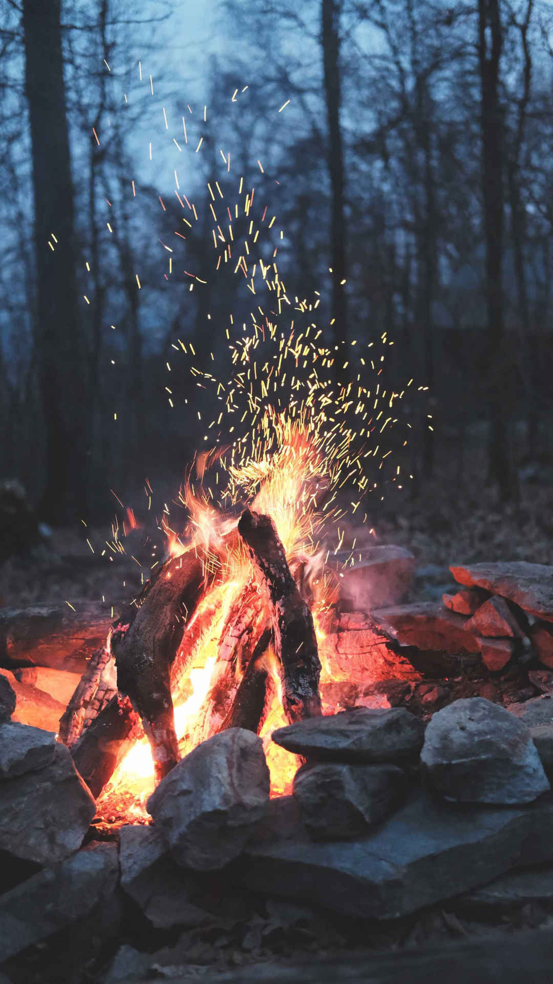 森林里燃烧的篝火唯美摄影手机壁纸-