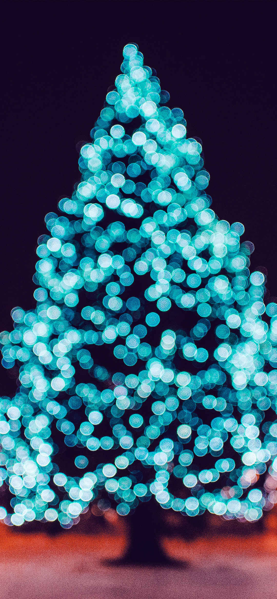 挂满蓝色彩灯的圣诞树高清手机壁纸-