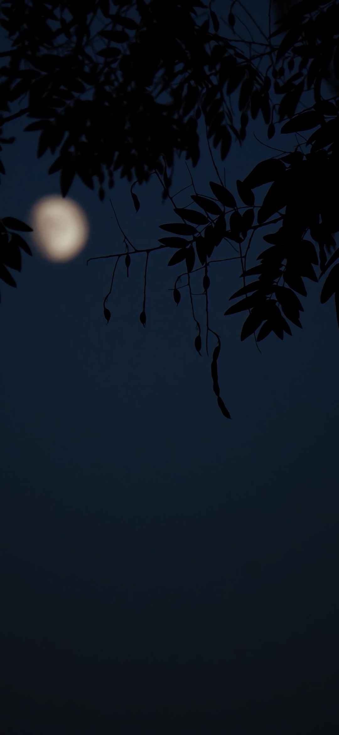 唯美月亮夜景手机壁纸-