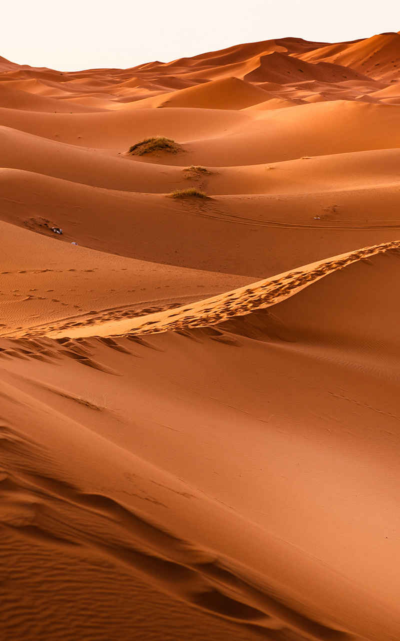 沙漠深红落日沙浪高清手机壁纸-