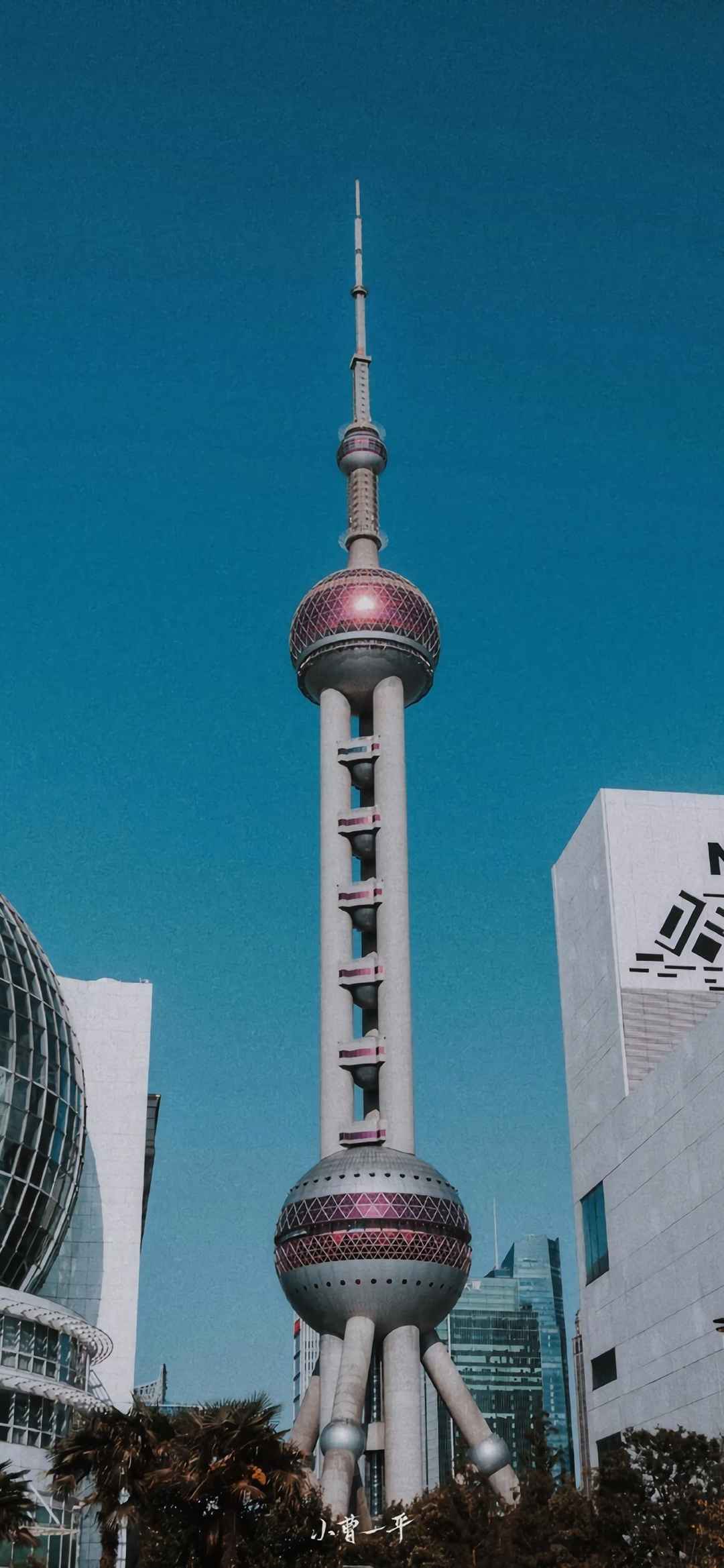 上海都市风景建筑手机壁纸