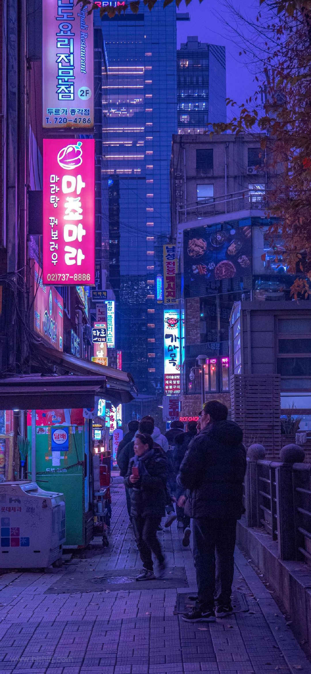 韩国现代城市霓虹闪烁风景竖屏手机壁纸