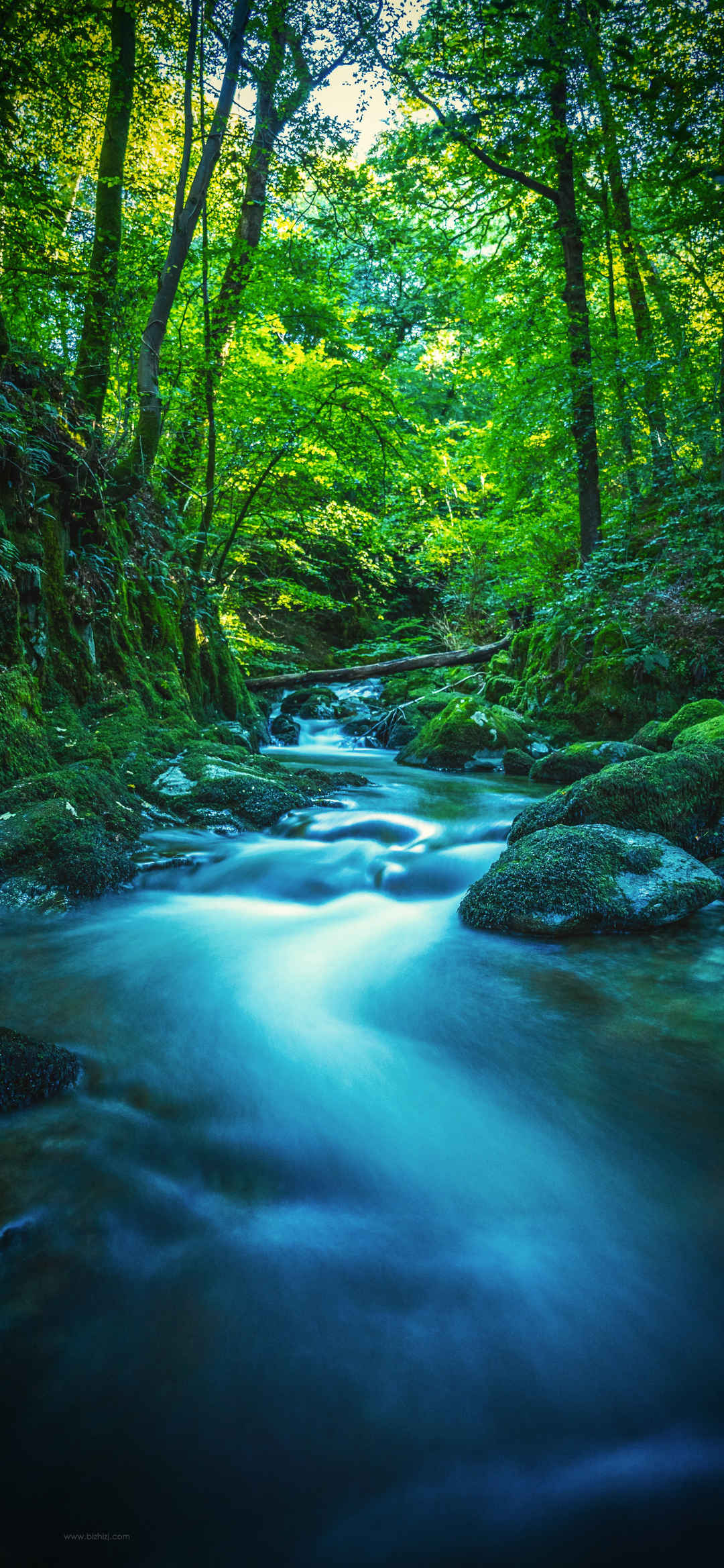 绿色森林河流风景手机壁纸高清全屏-