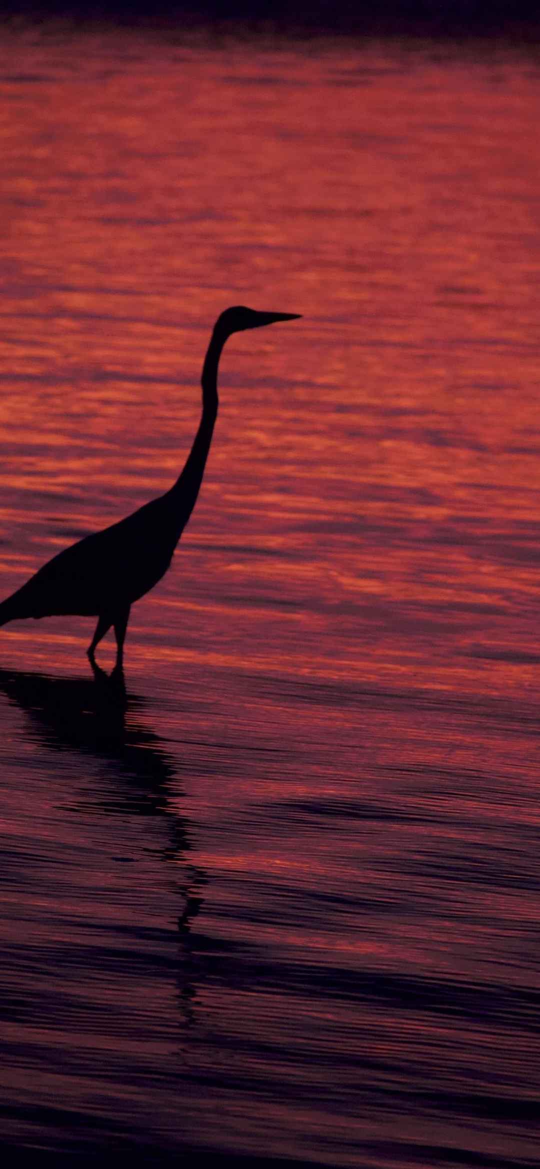 江边黄昏真实漂亮的自然风景图片-