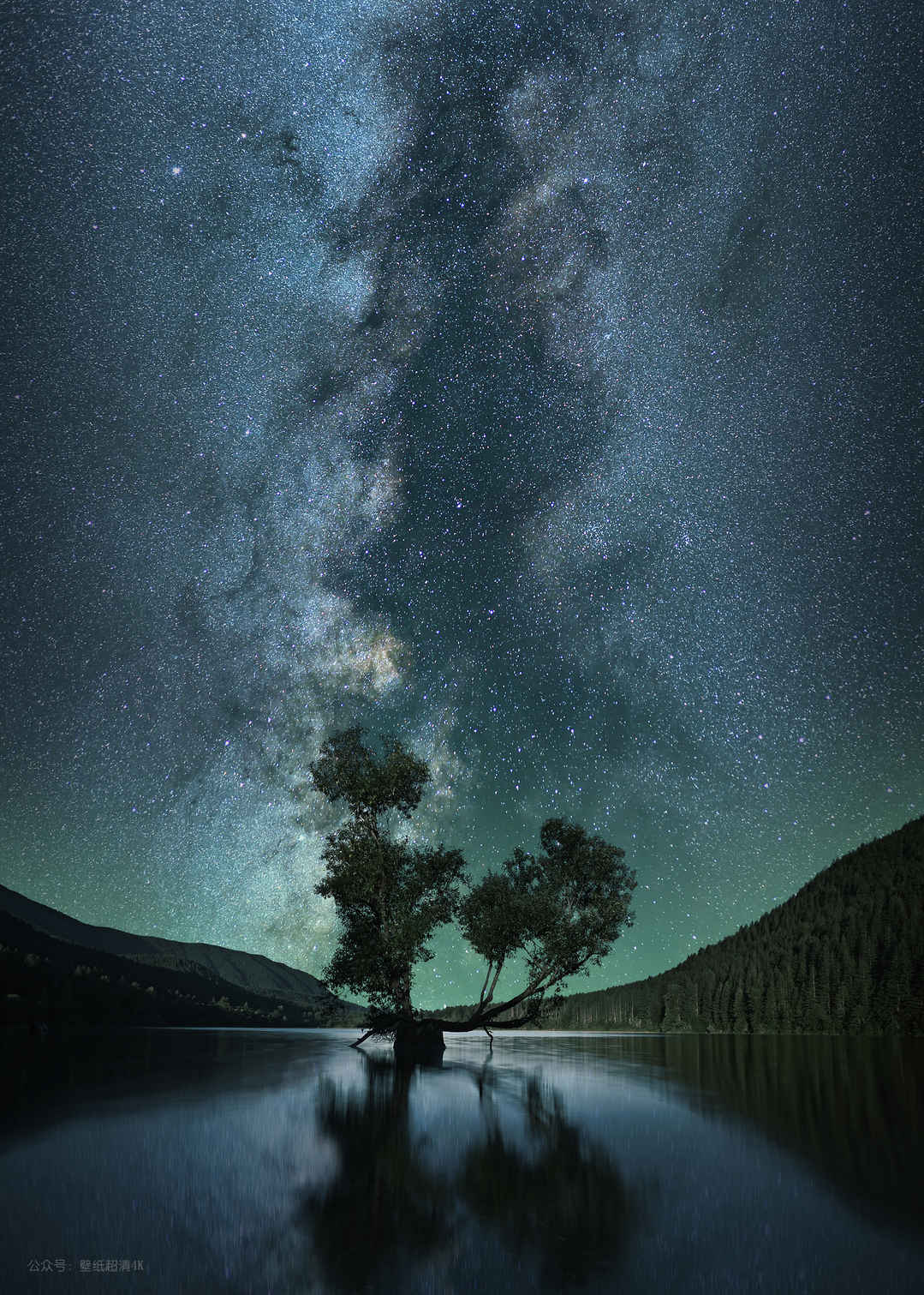 夜景 星空 湖中心的树手机壁纸