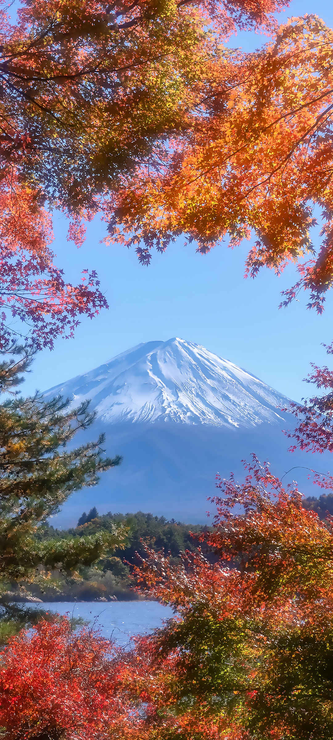 秋天富士山风景手机壁纸
