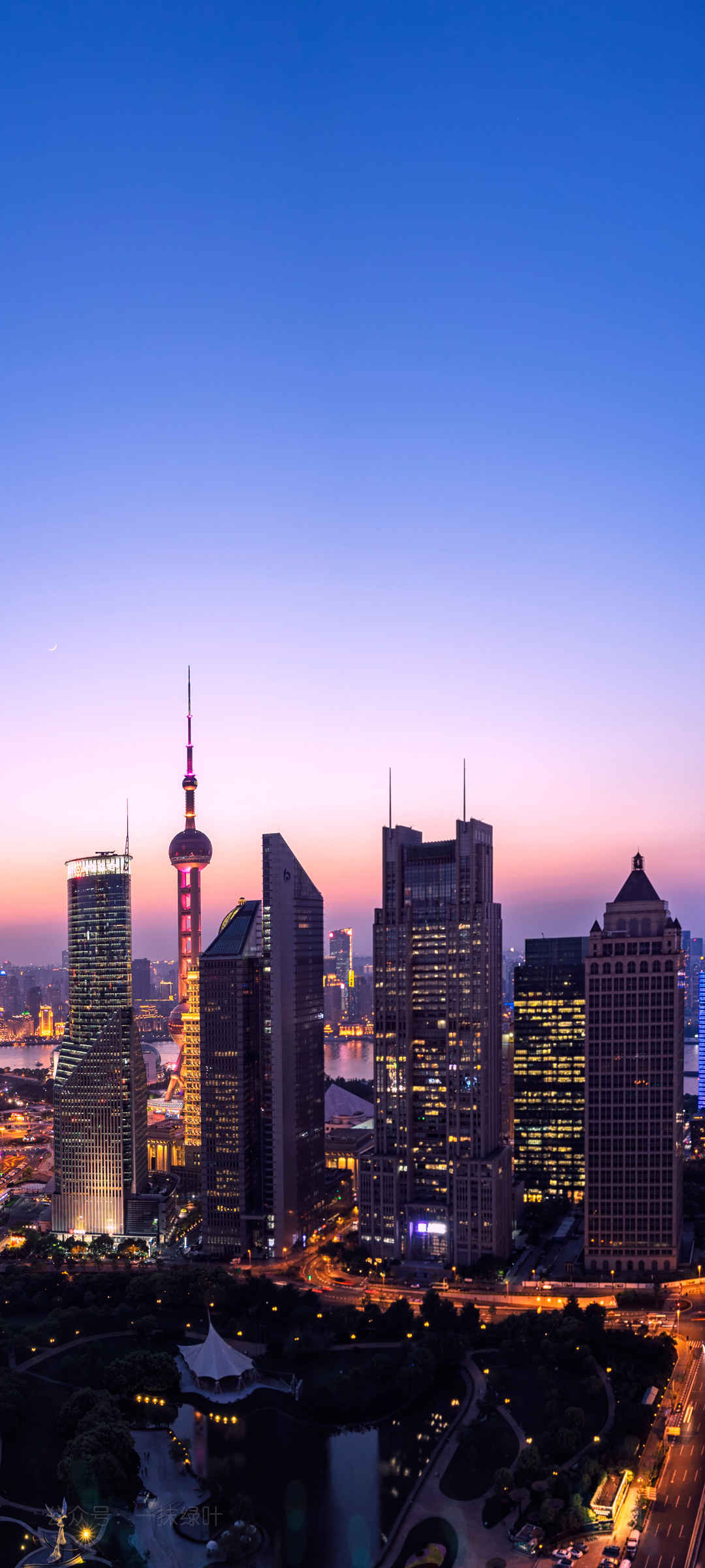 上海城市夜景高清全面屏手机壁纸
