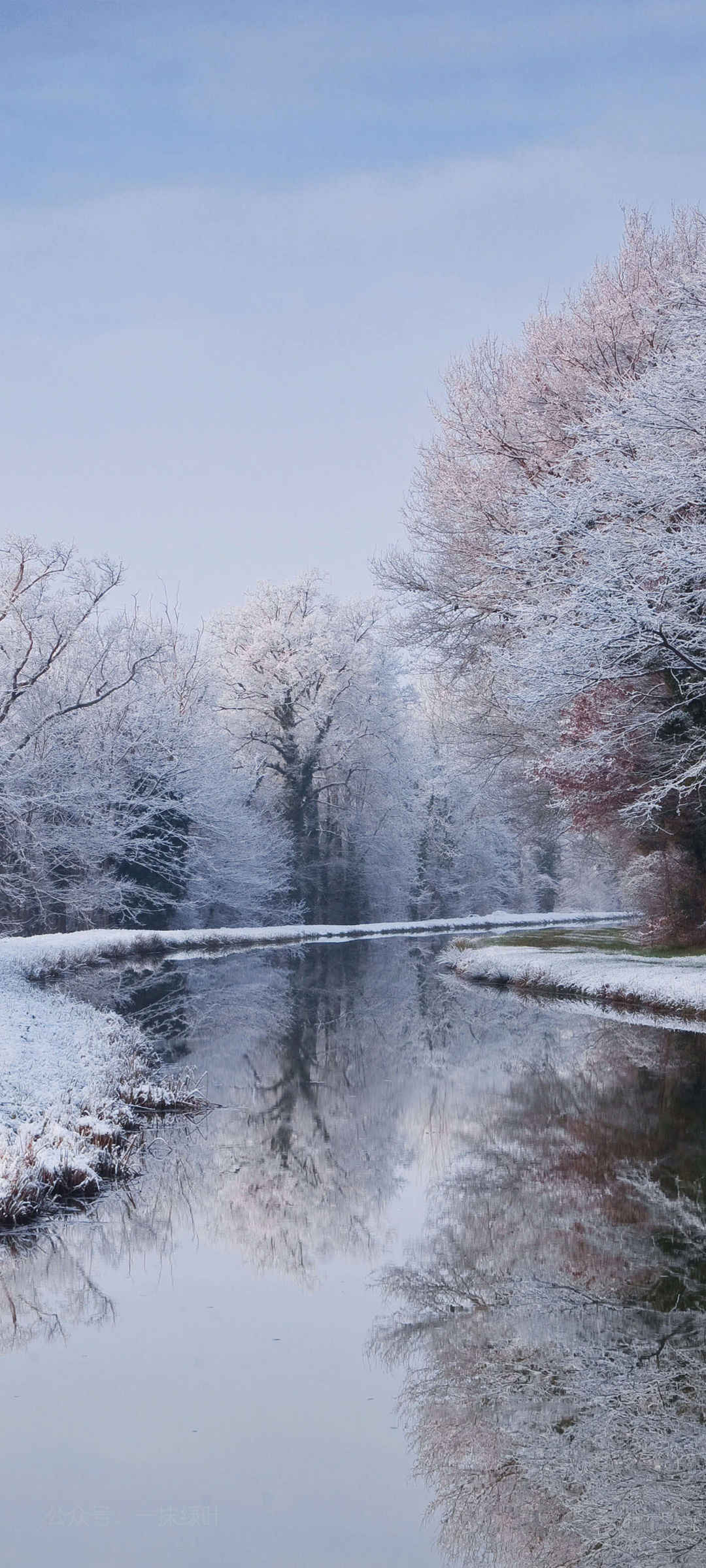 冬天风景河流树手机壁纸-