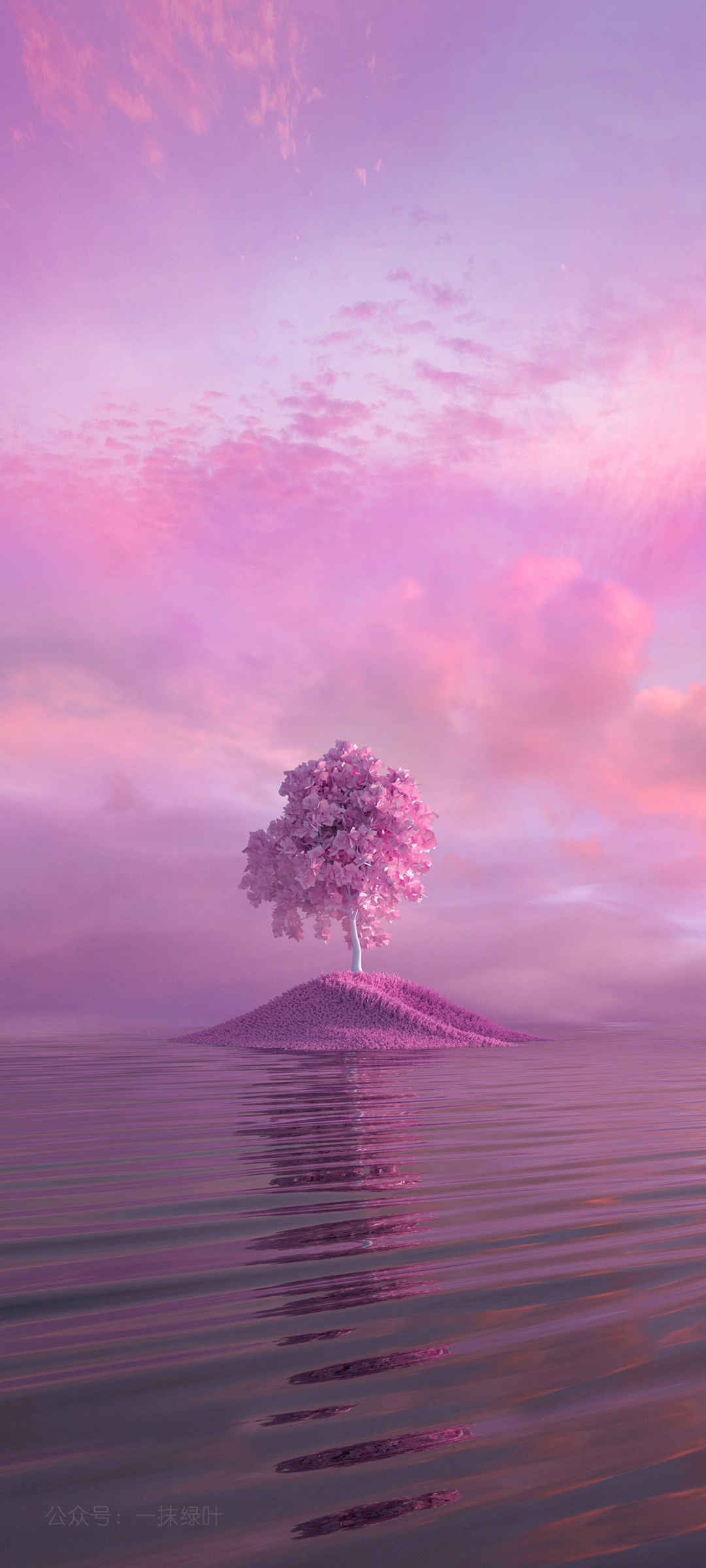 水上的小树风景粉色手机壁纸-